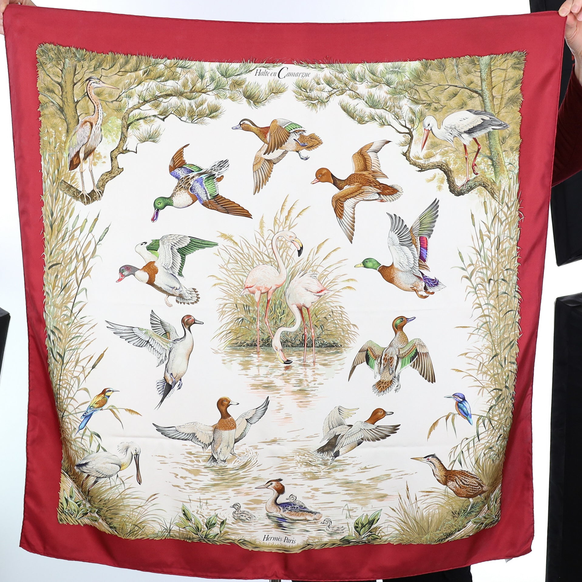 Hermès Halte en Camargue Silk Scarf