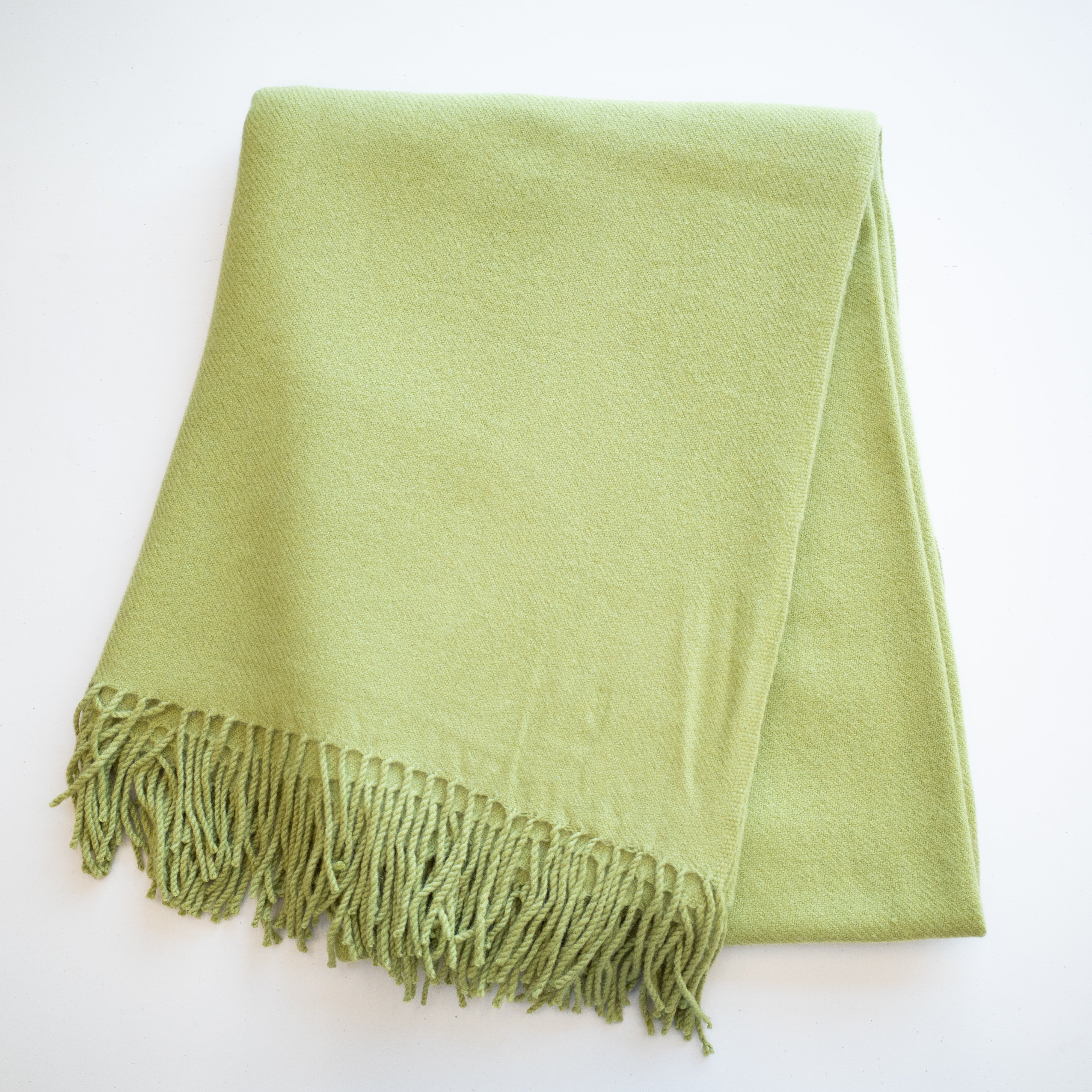 Pear Green Fringed Woven Blanket