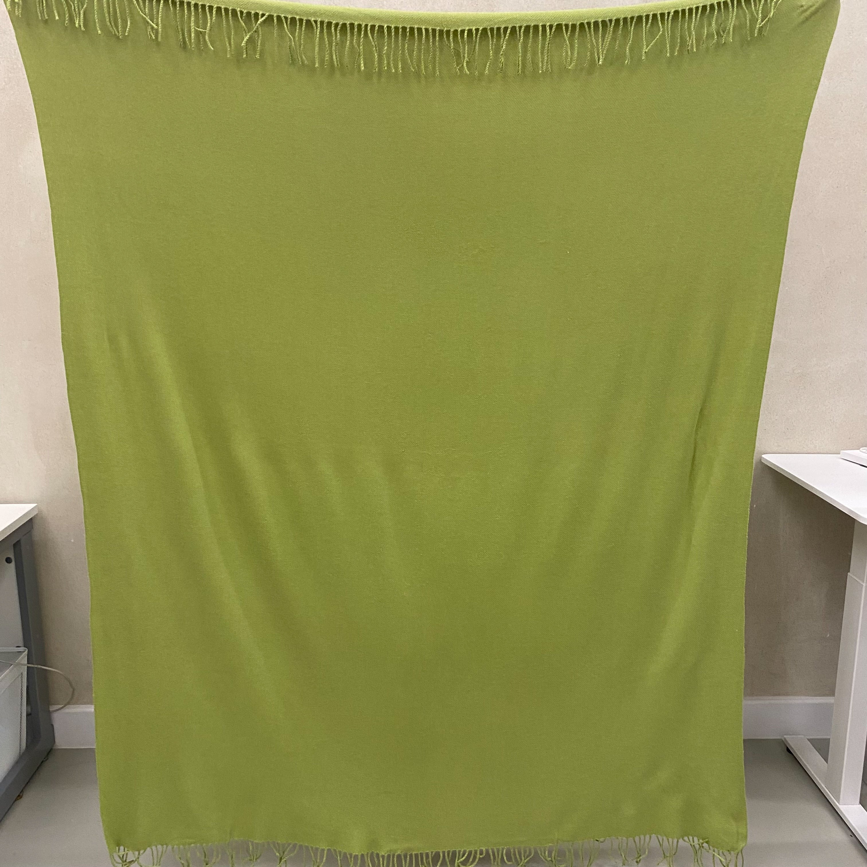 Pear Green Fringed Woven Blanket