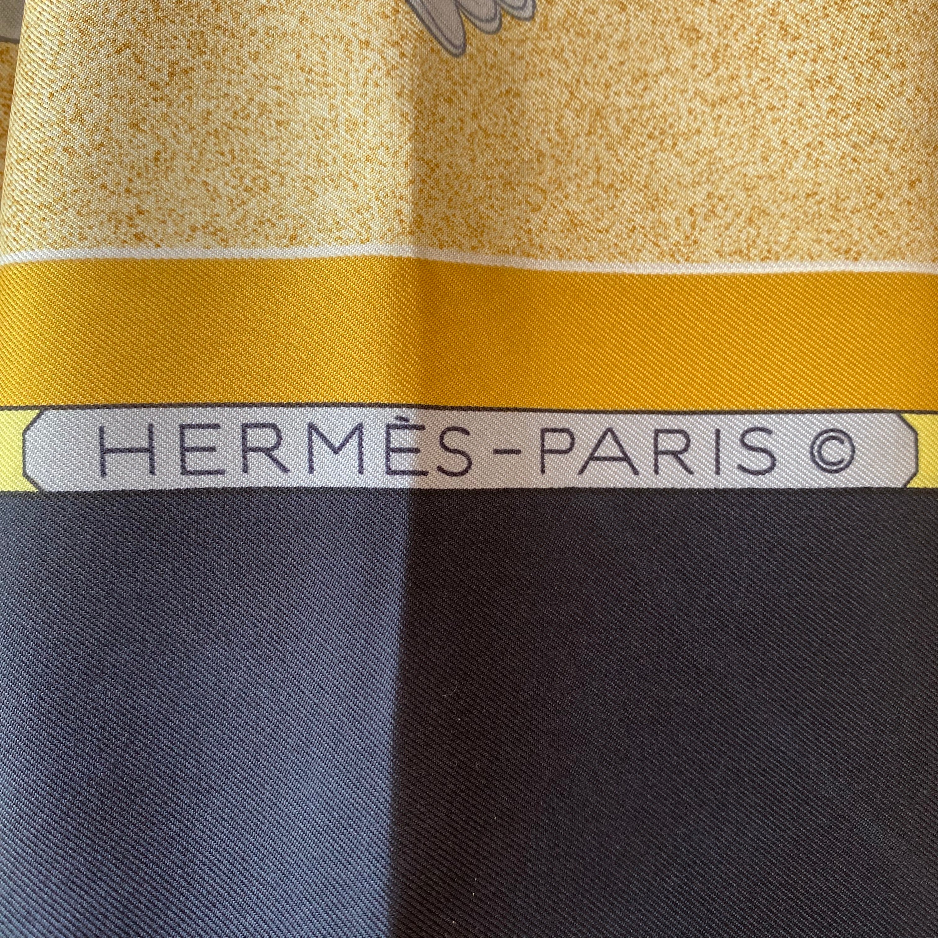 Hermès Oiseaux Migrateurs Silk Scarf
