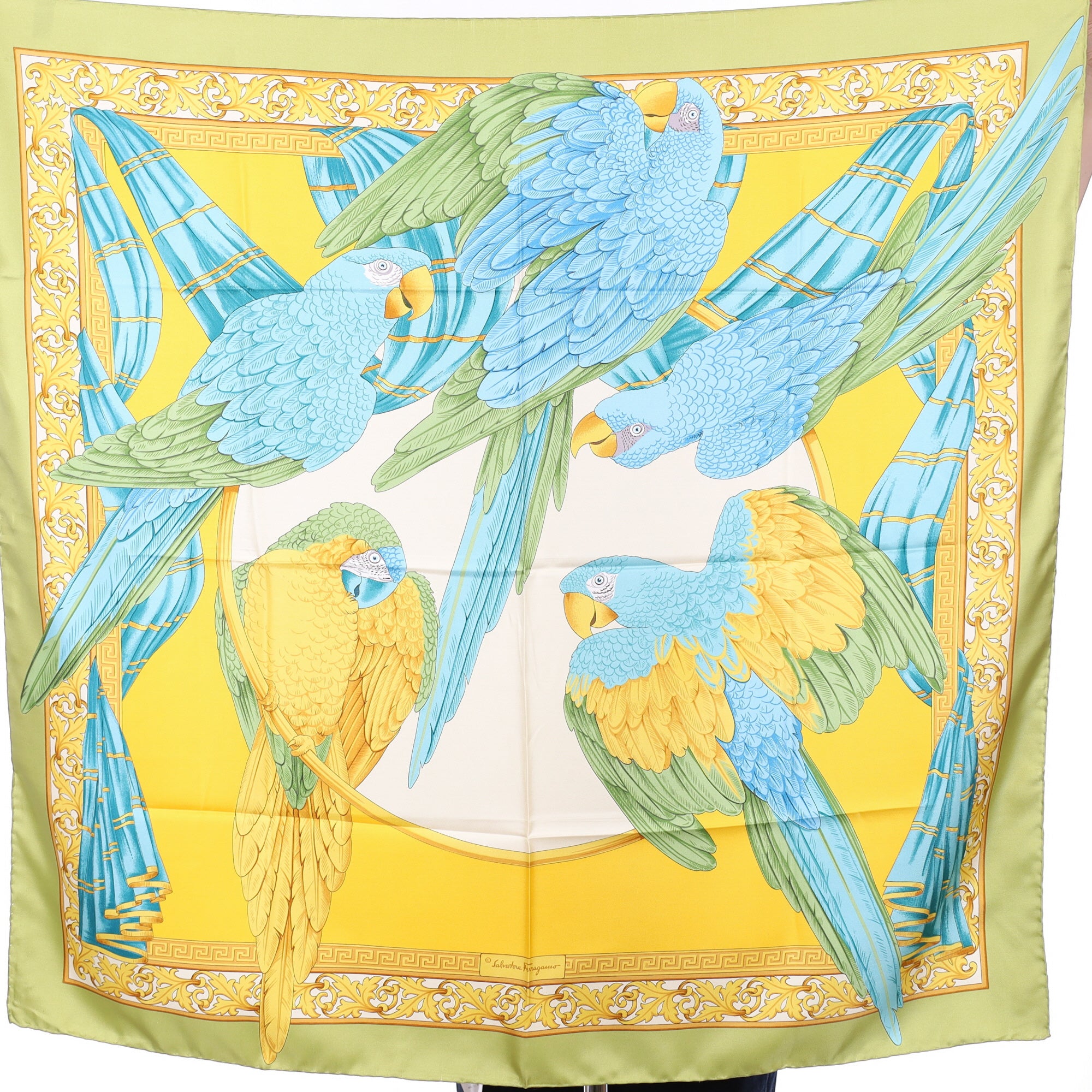 Brand New Boxed Salvatore Ferragamo Parrot Silk Scarf