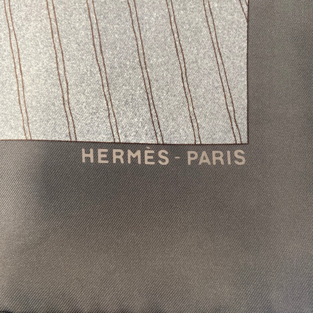 Pristine Hermès Vent Portant II (Detail) Silk Scarf Quite Rare