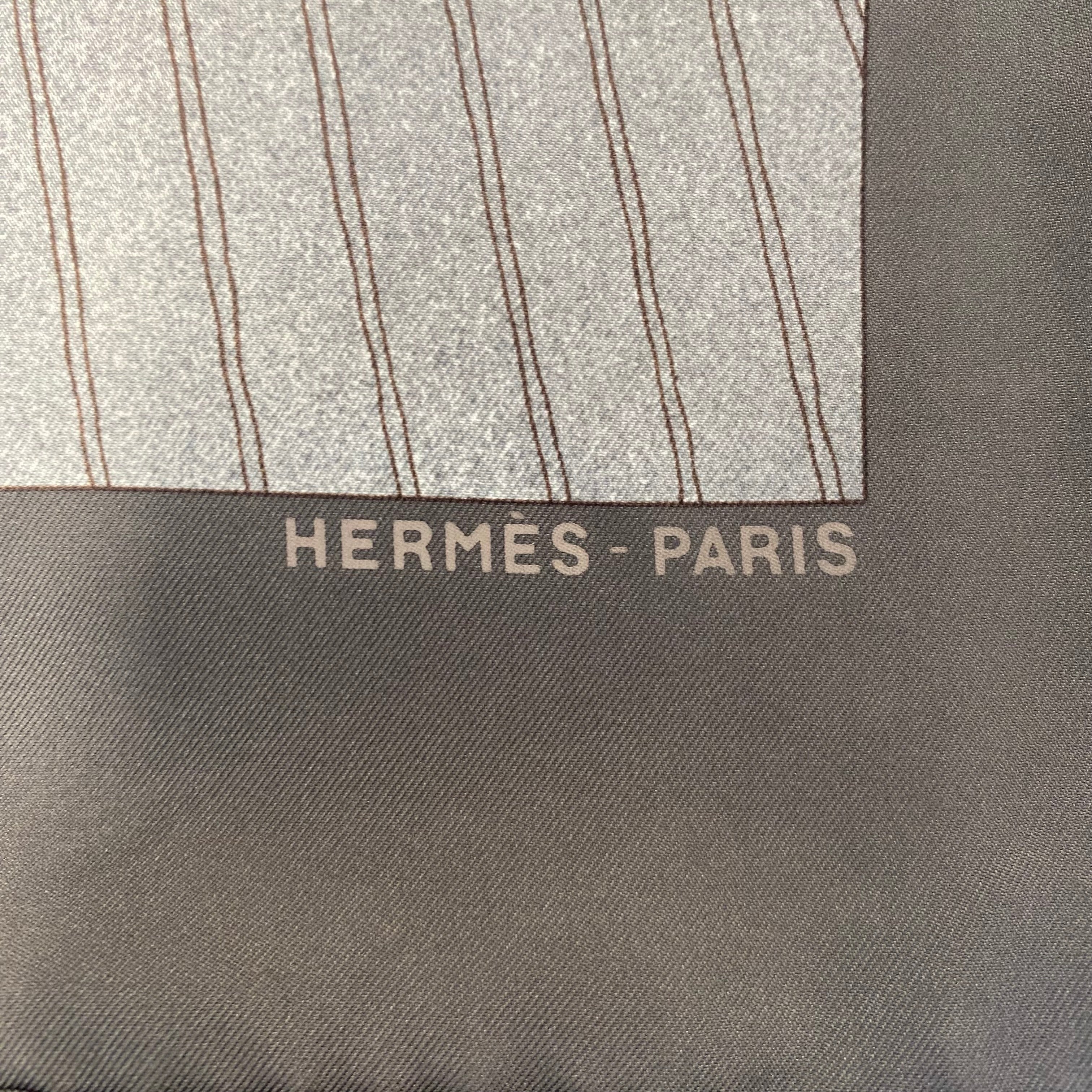 Pristine Hermès Vent Portant II (Detail) Silk Scarf Quite Rare