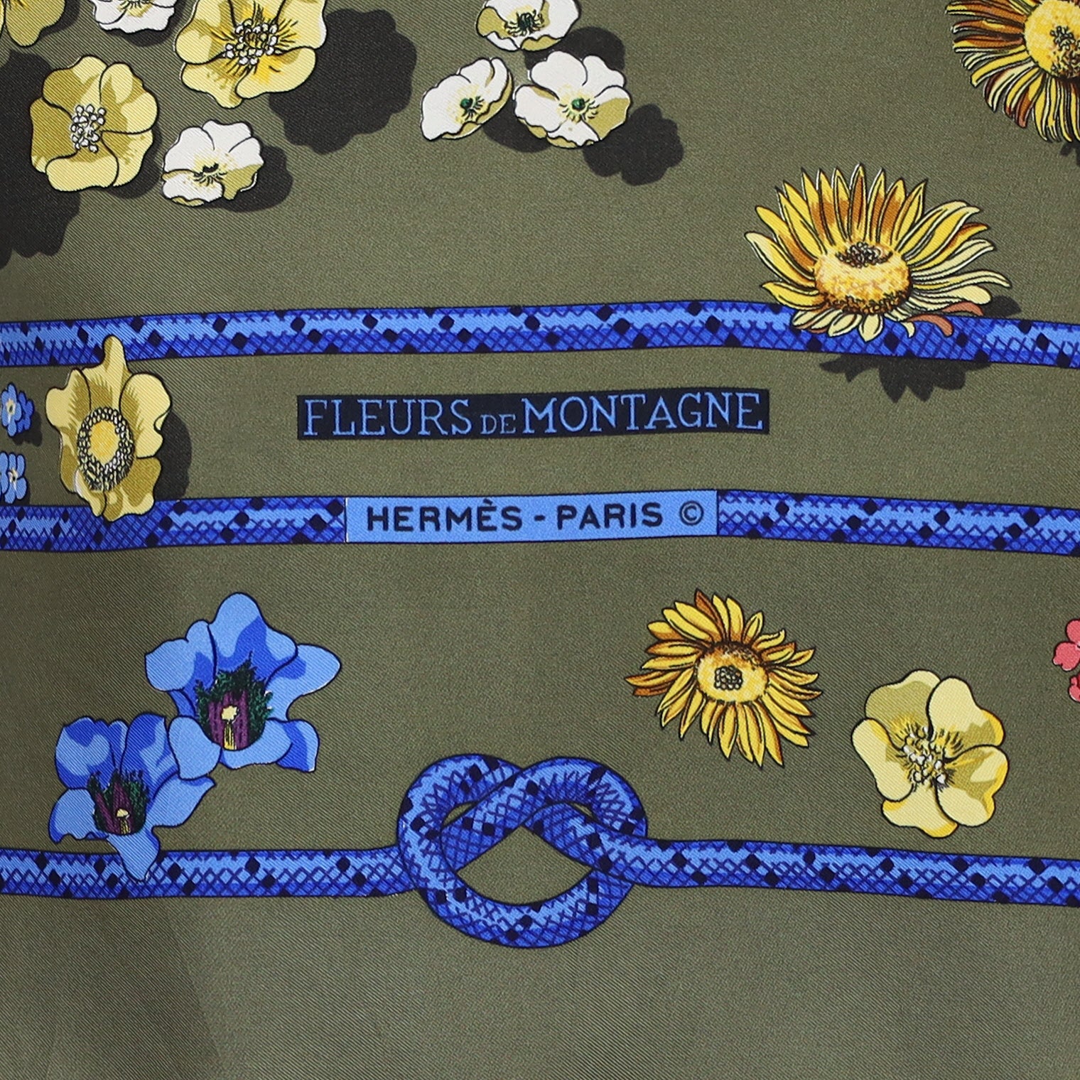 Hermès Fleurs de Montagne Silk Scarf Rare