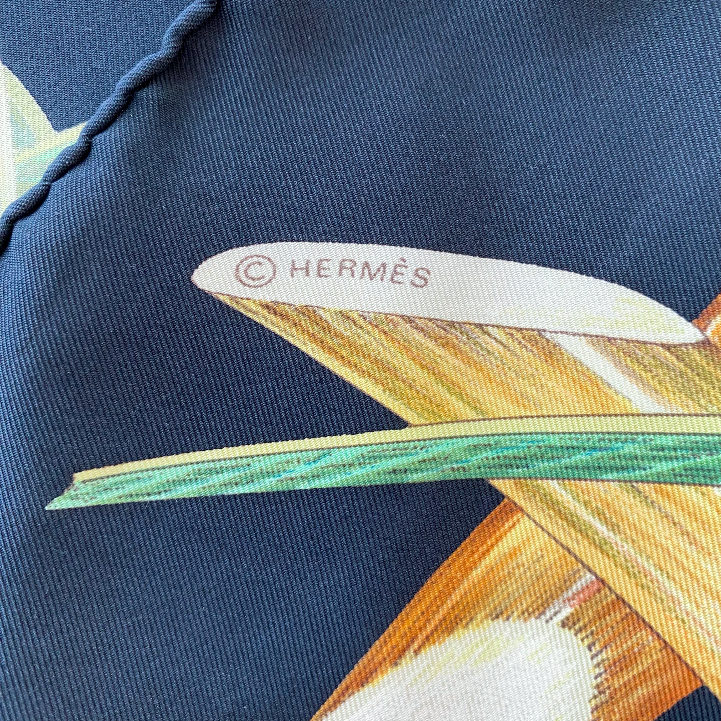Hermès Jardin Gréole Silk Scarf