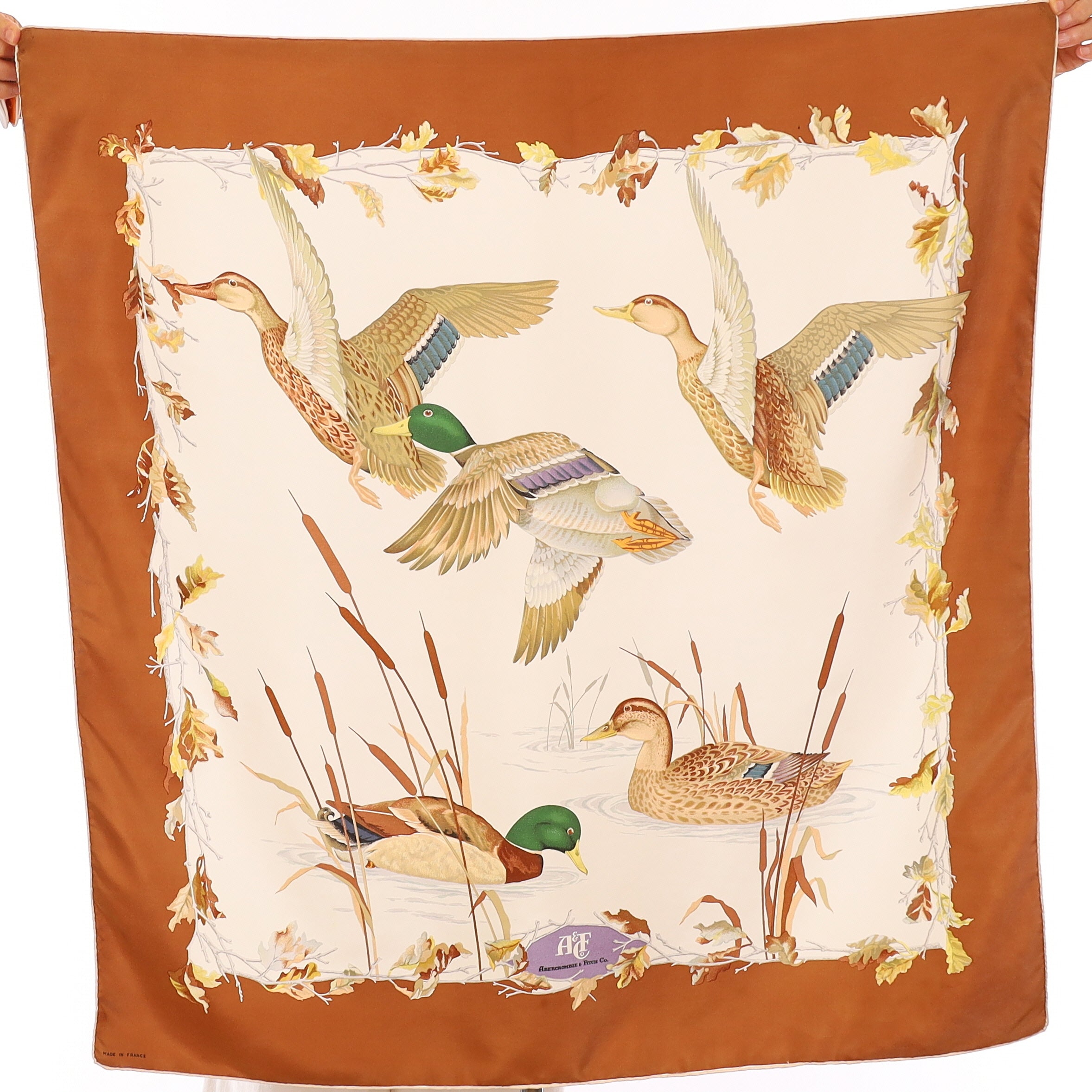 Abercrombie & Fitch Amber Bird Vintage Silk Scarf