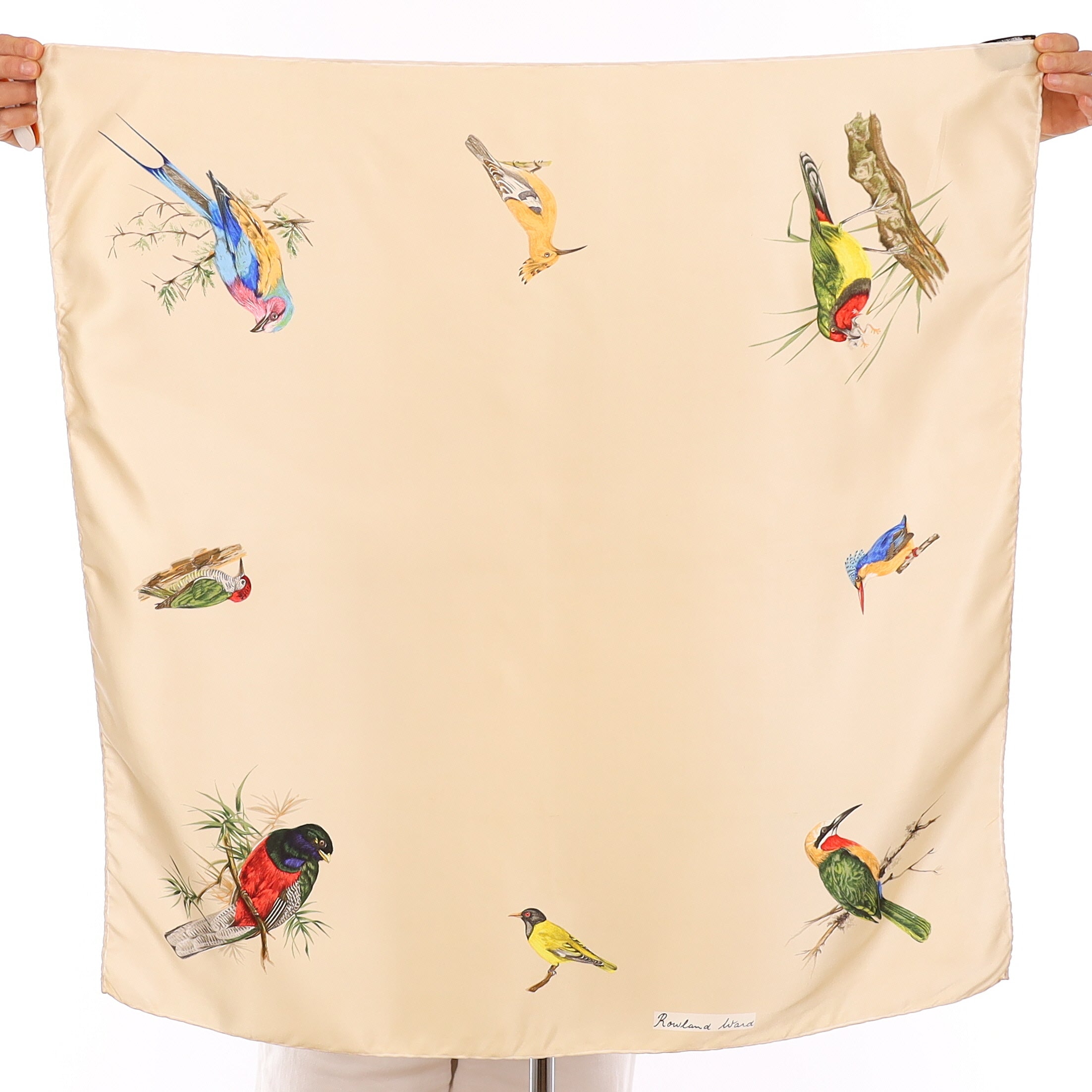 Rowland Ward Cream Painted Bird Vintage Silk Scarf