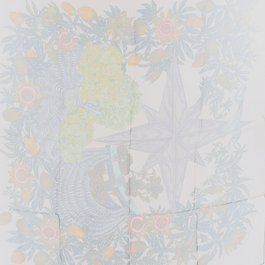 Immaculate Boxed Hermès Passiflores Boxed Silk Scarf
