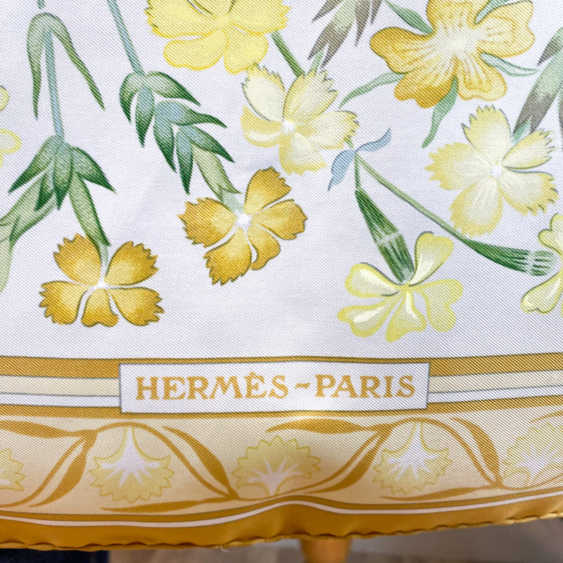 Boxed Hermes Oeillets Sauvages Vintage Silk Scarf
