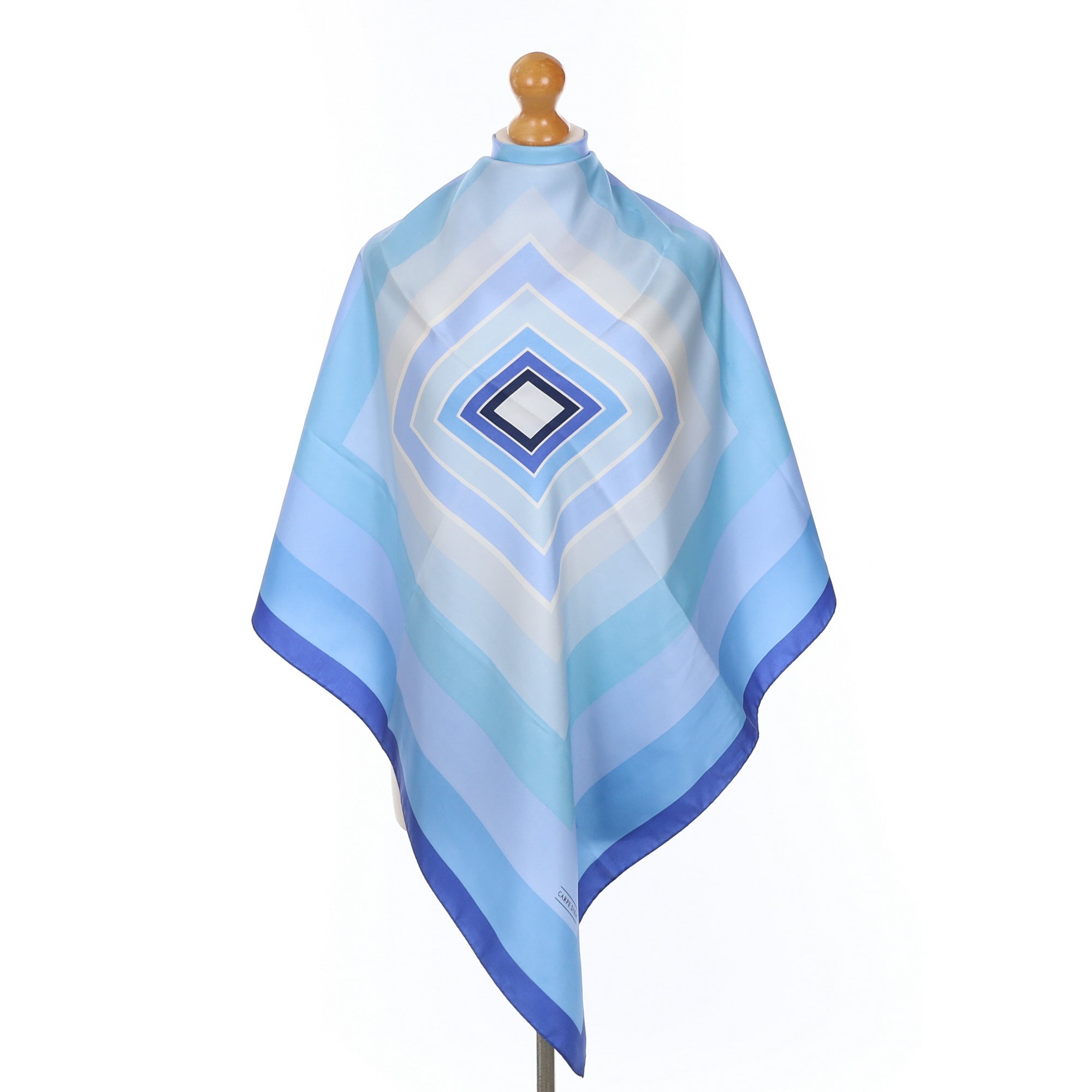 Carpe Diem Blue Toned Silk Scarf