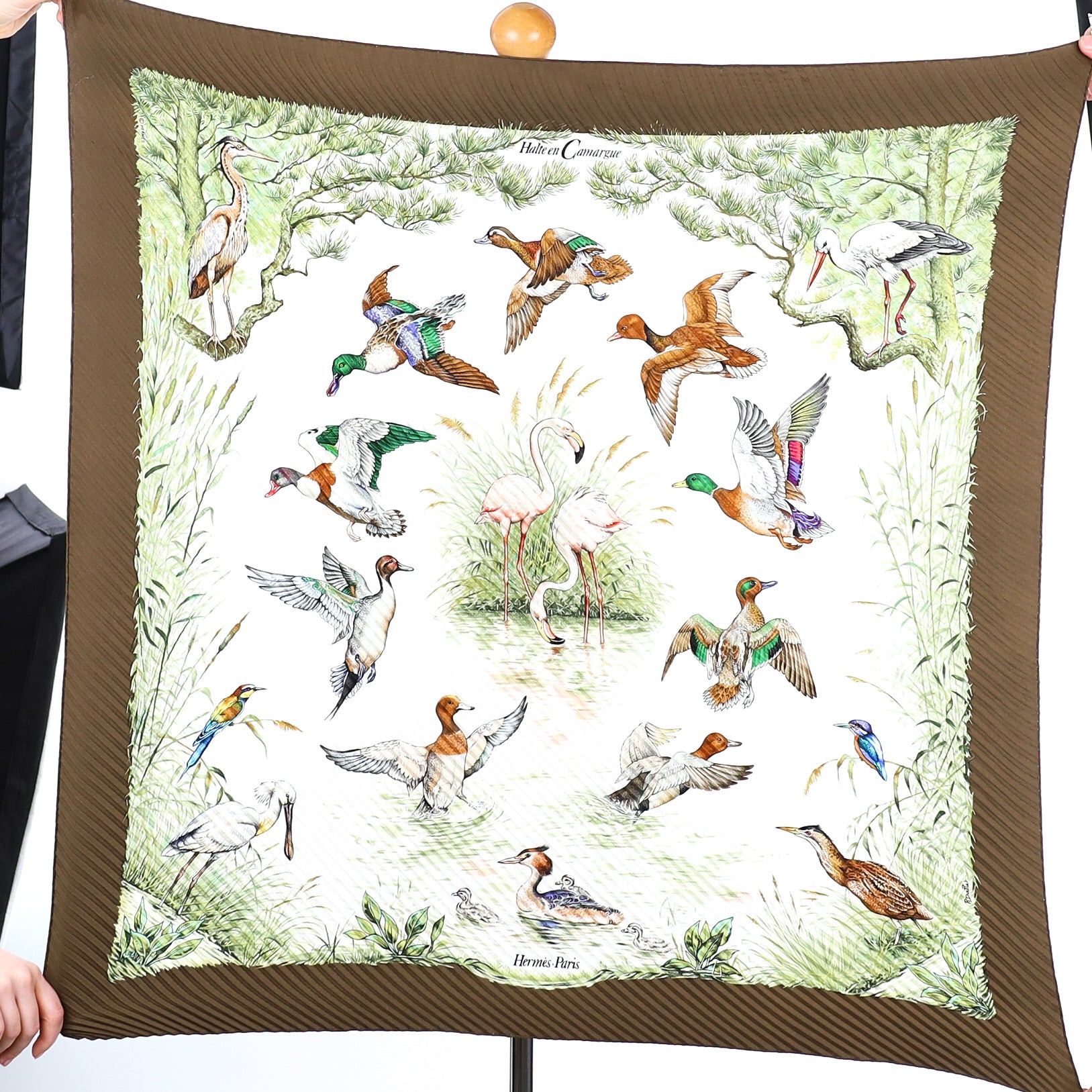 Hermès Halte en Camargue Plissé Silk Scarf