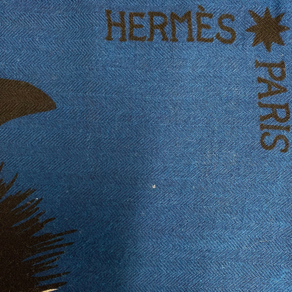 Hermès Zebra Pegasus Cashmere and Silk Stole