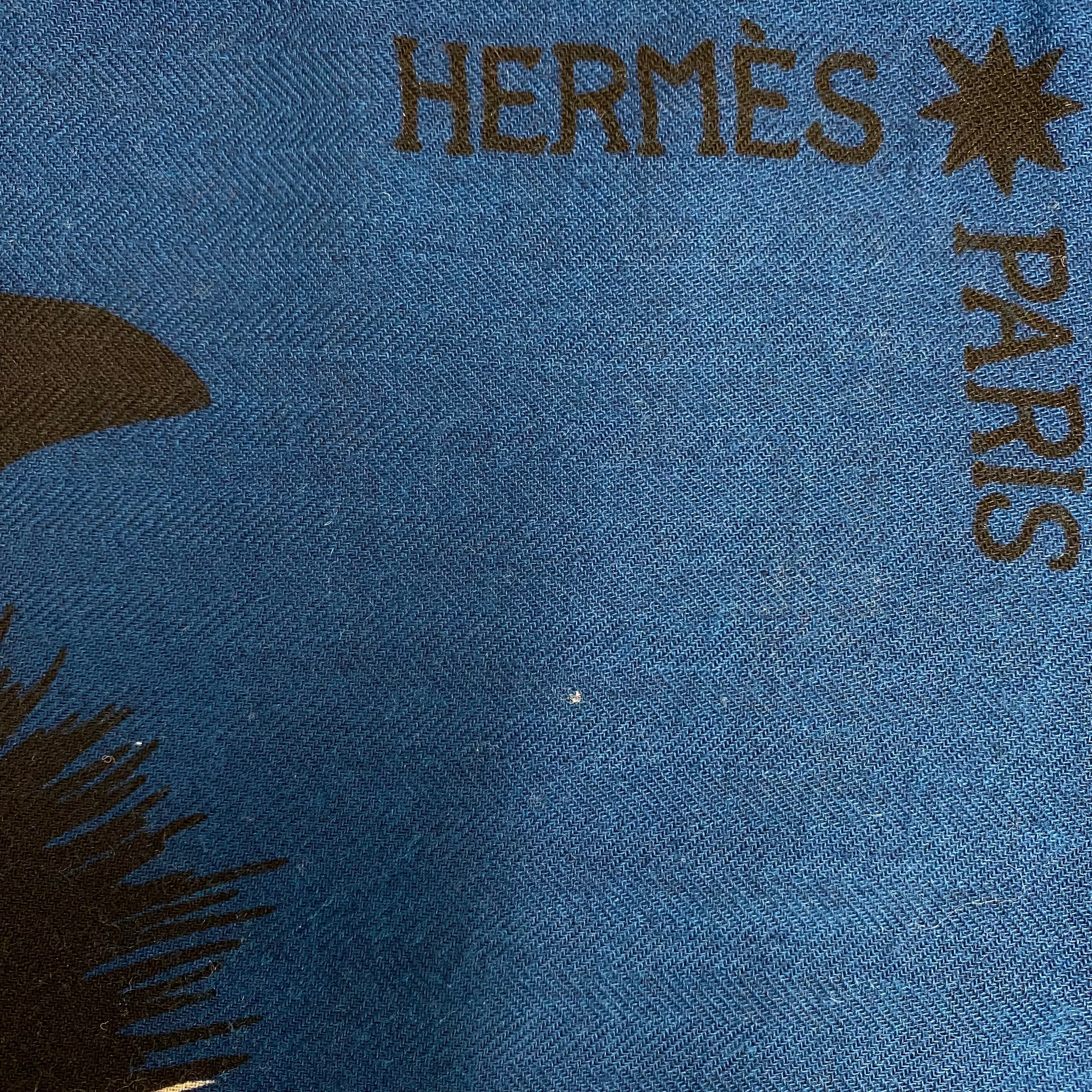 Hermès Zebra Pegasus Cashmere and Silk Stole