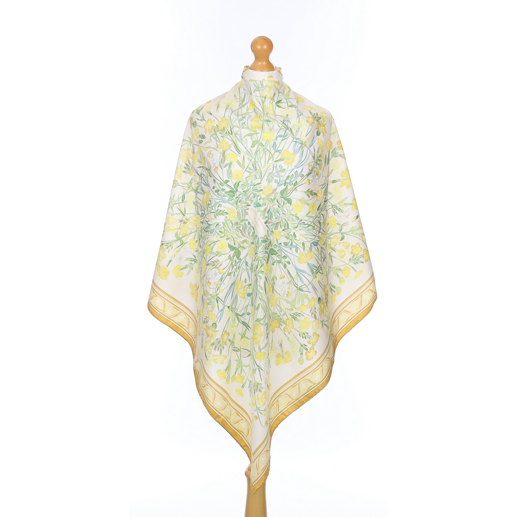 Hermès Oeillets Sauvages et autres Caryophyllées Silk Scarf