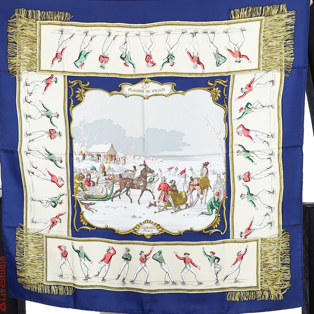 Brand New Boxed Hermès Plaisirs du Froid Silk Scarf
