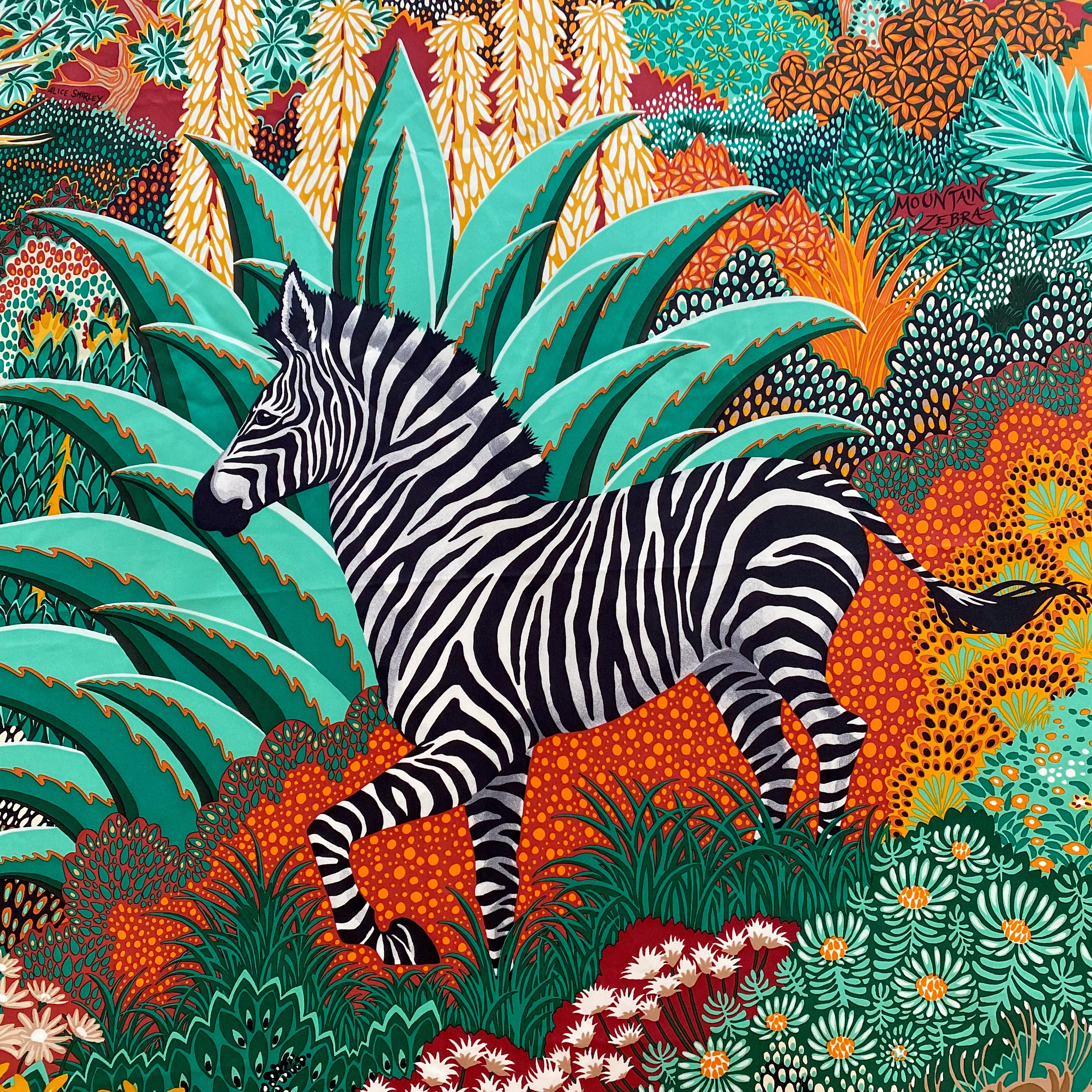 Pristine Boxed Hermès Mountain Zebra Silk Scarf