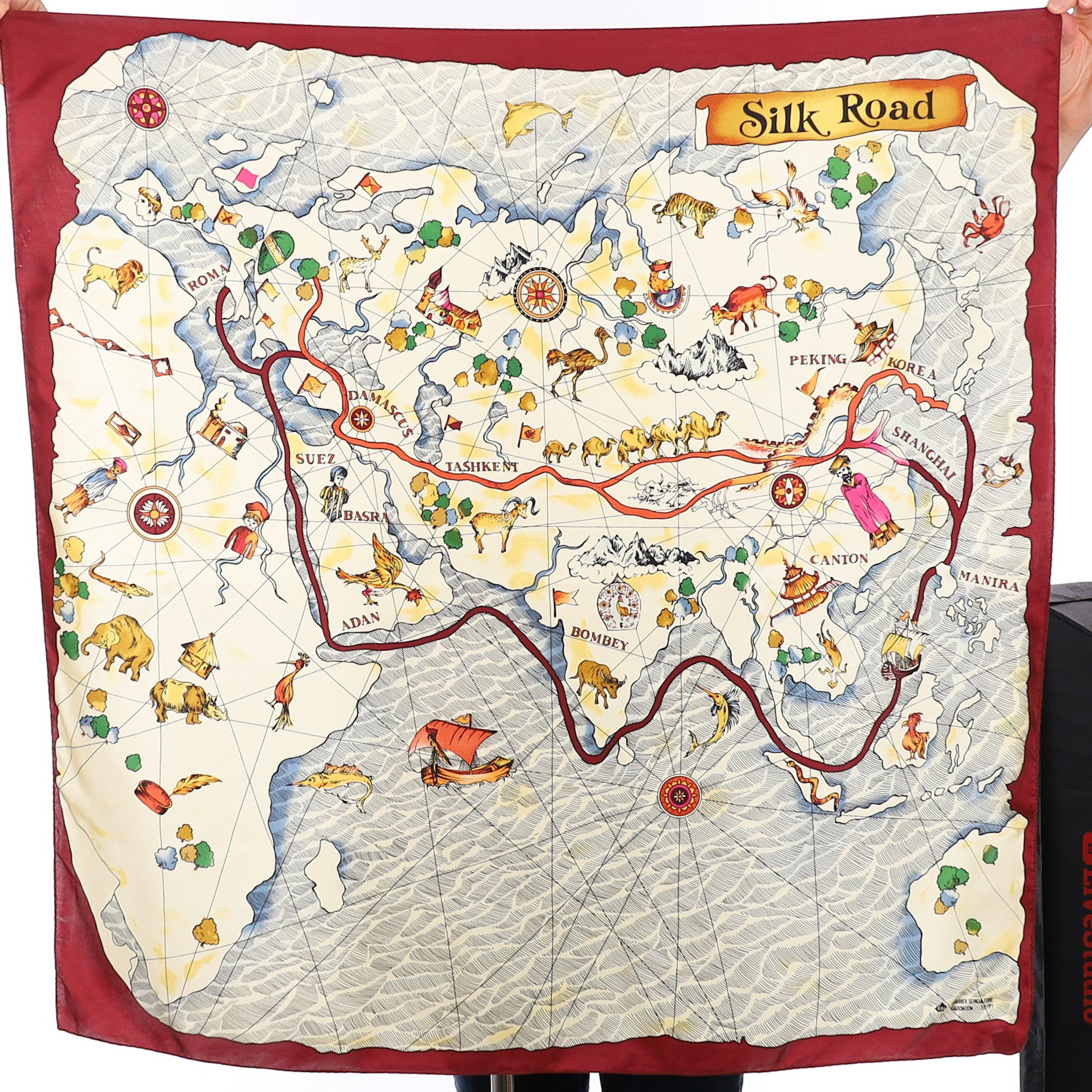 Map of Asia Silk Scarf