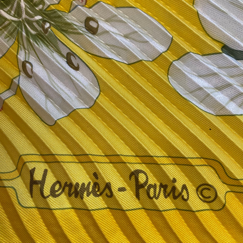 Pristine Boxed Hermès Flora Greaca 1983 Plissè Silk Scarf