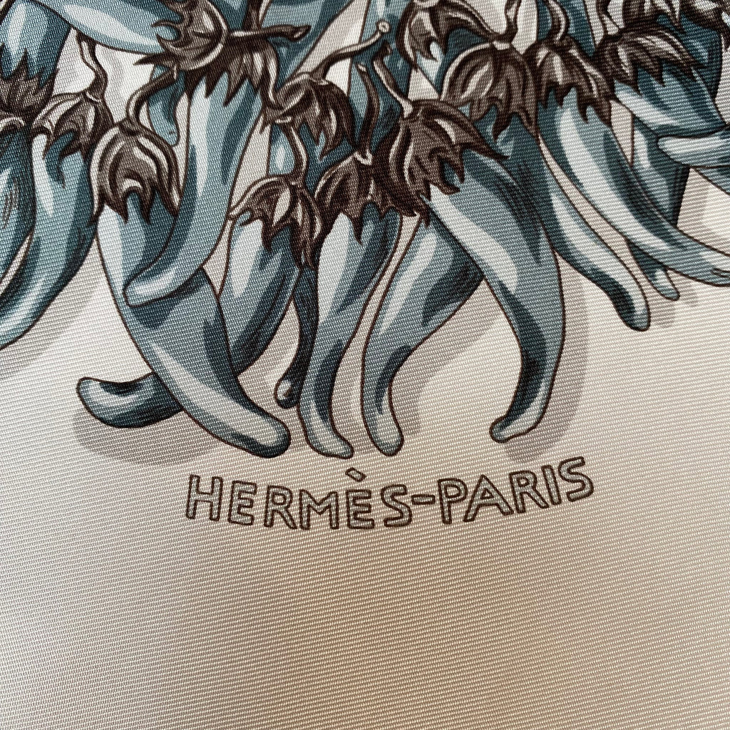 Hermès Aux Pays des Epices Silk Scarf