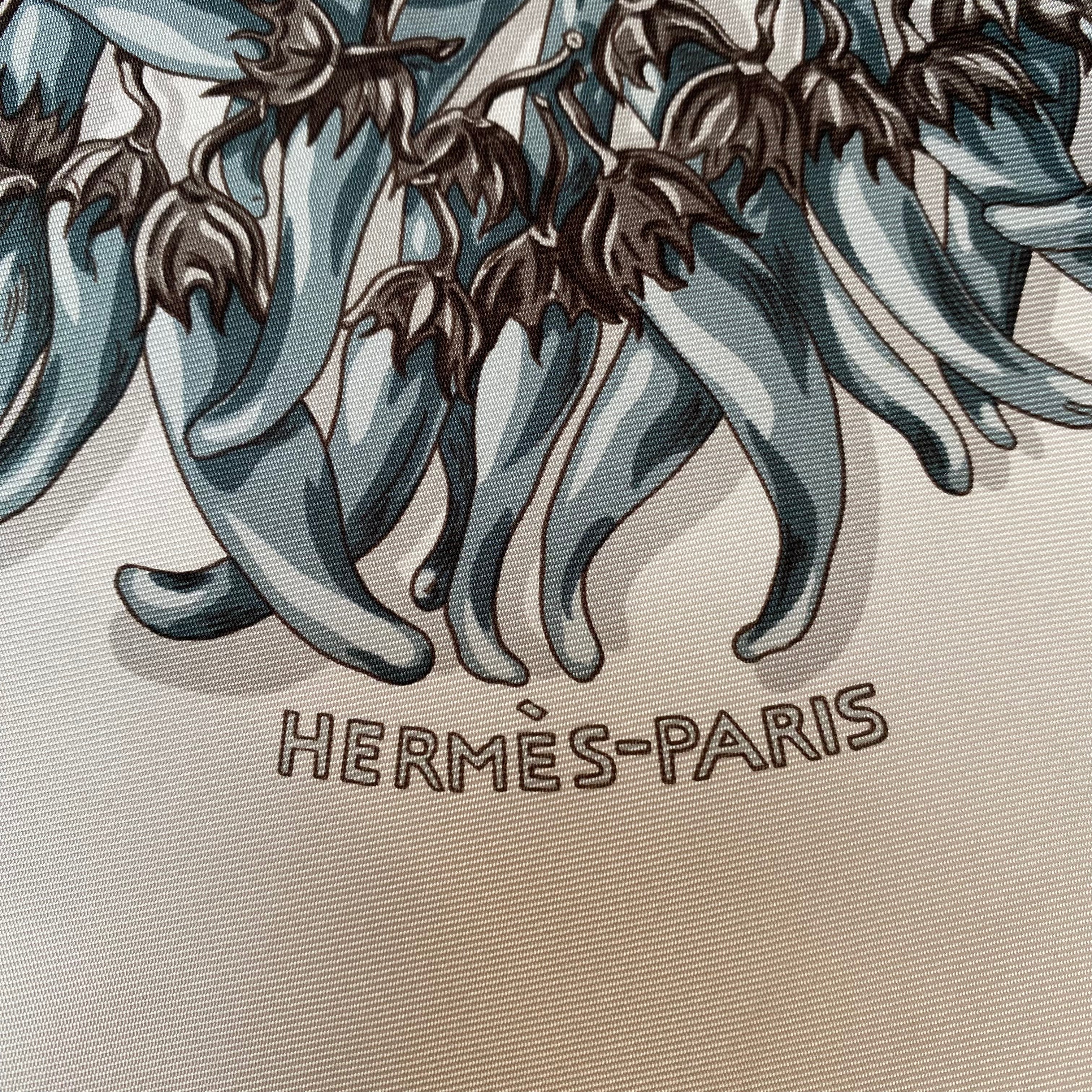 Hermès Aux Pays des Epices Silk Scarf