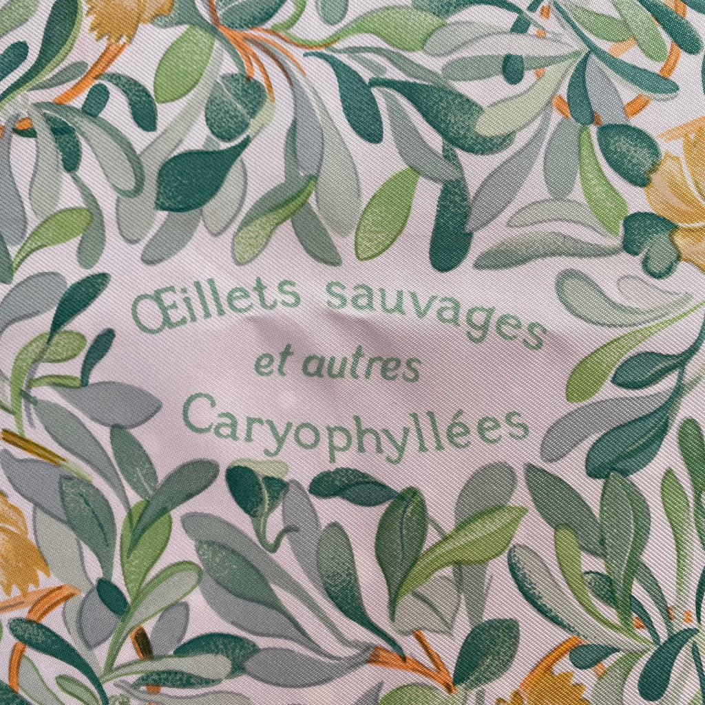 Hermès Oeillets Sauvages et autres Caryophyllées Silk Scarf