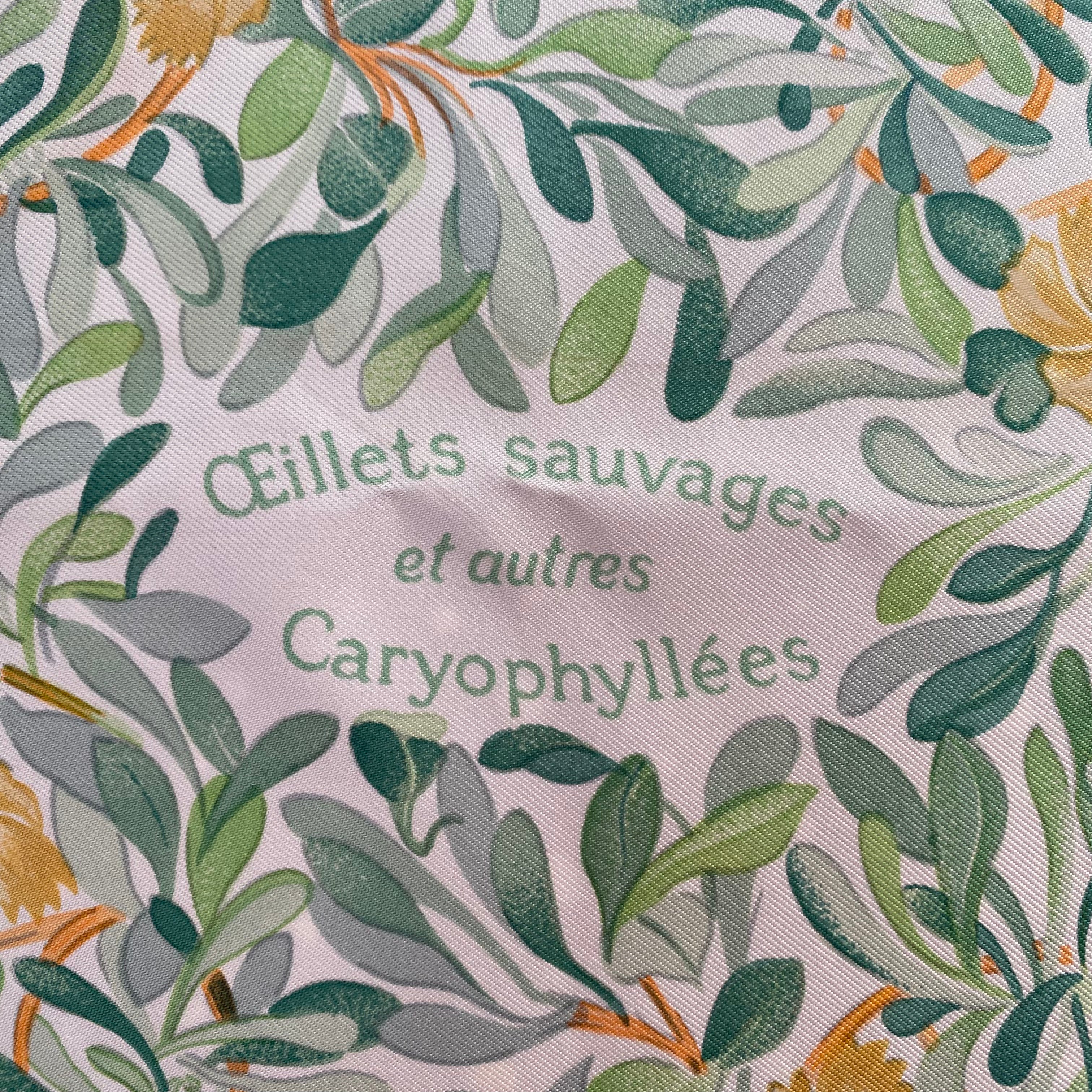 Hermès Oeillets Sauvages et autres Caryophyllées Silk Scarf