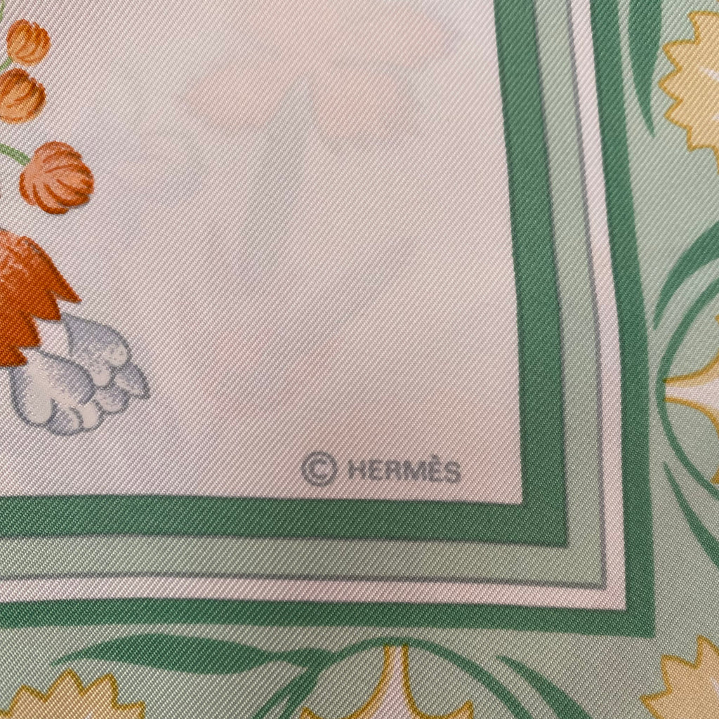 Hermès Oeillets Sauvages et autres Caryophyllées Silk Scarf