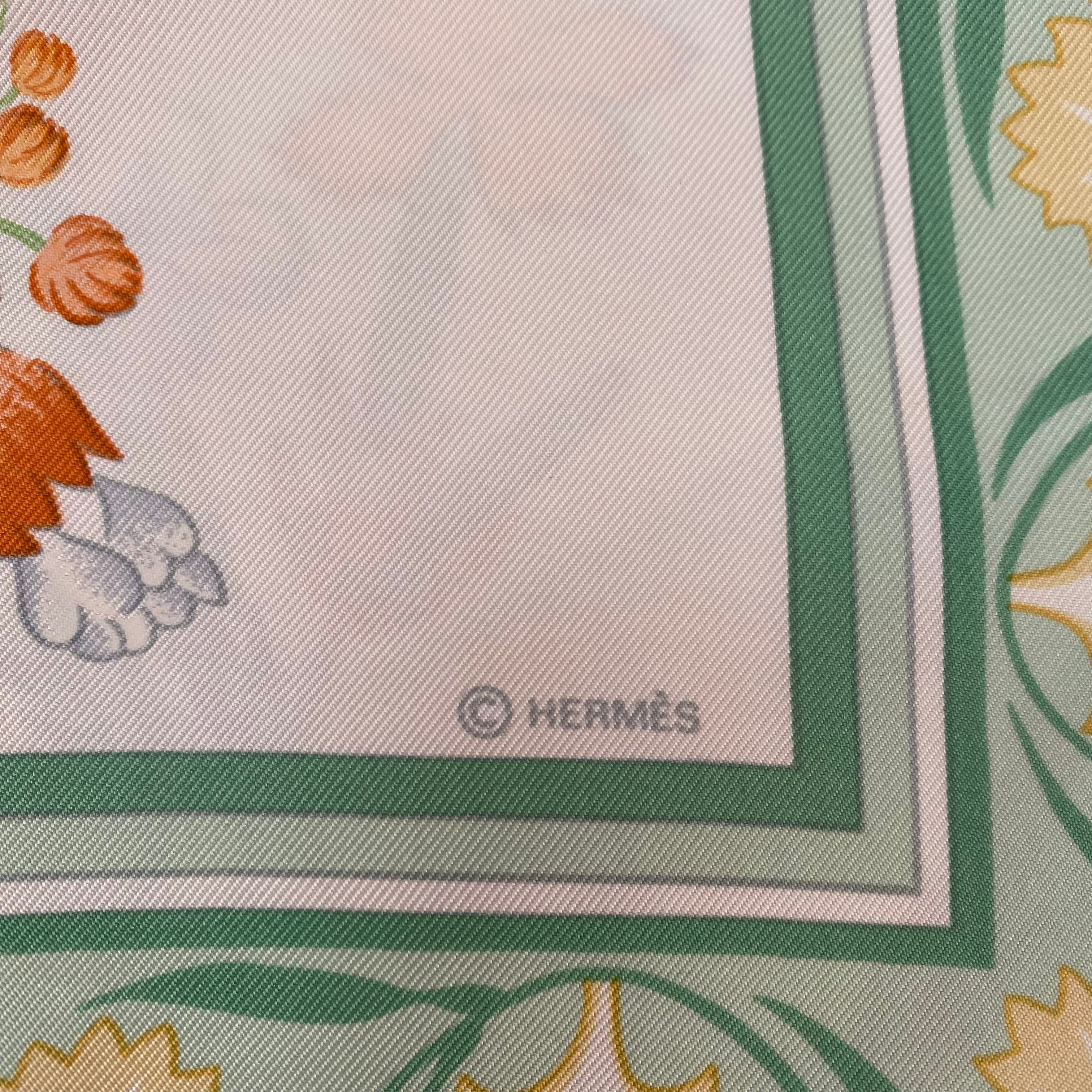 Hermès Oeillets Sauvages et autres Caryophyllées Silk Scarf