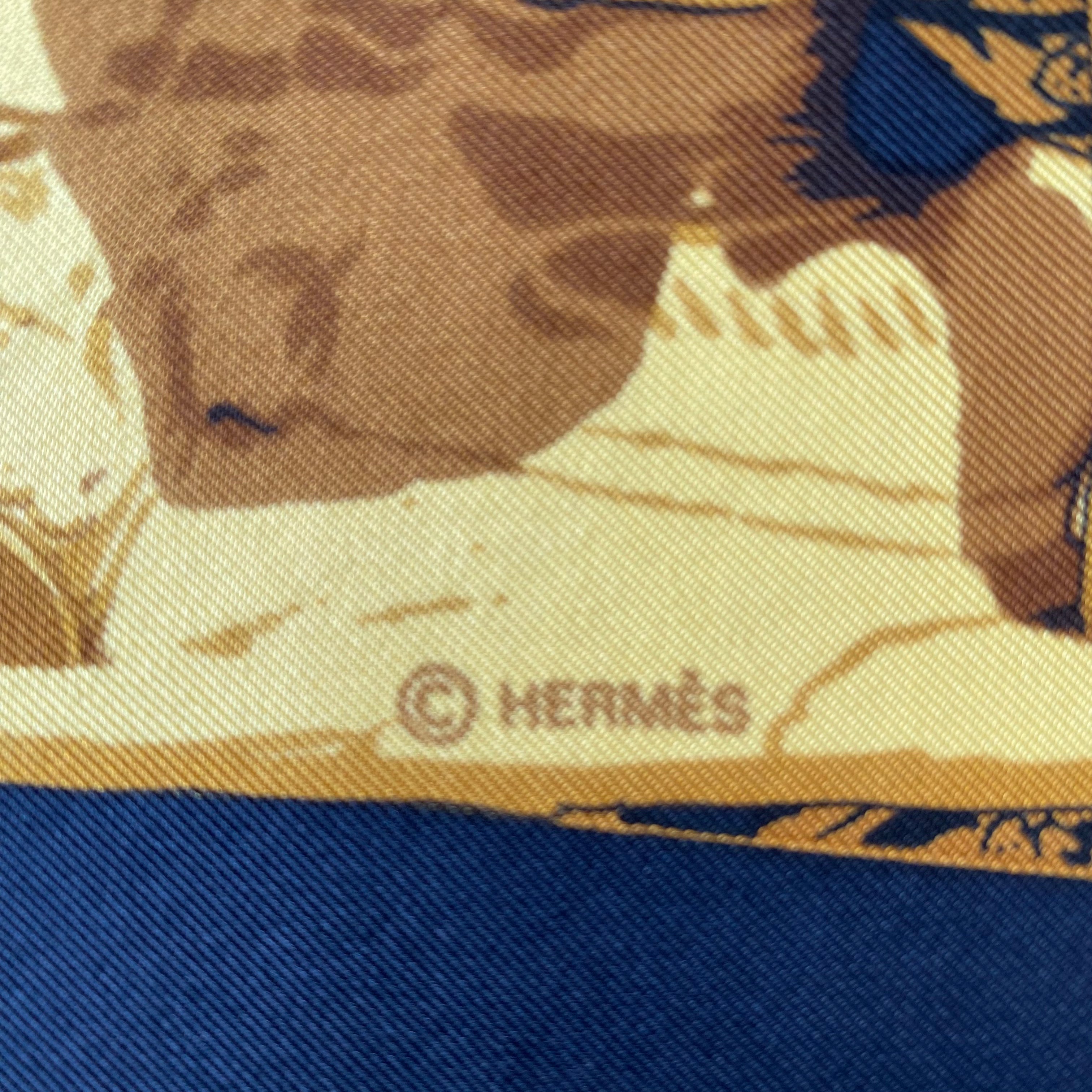 Hermès Siam Silk Scarf