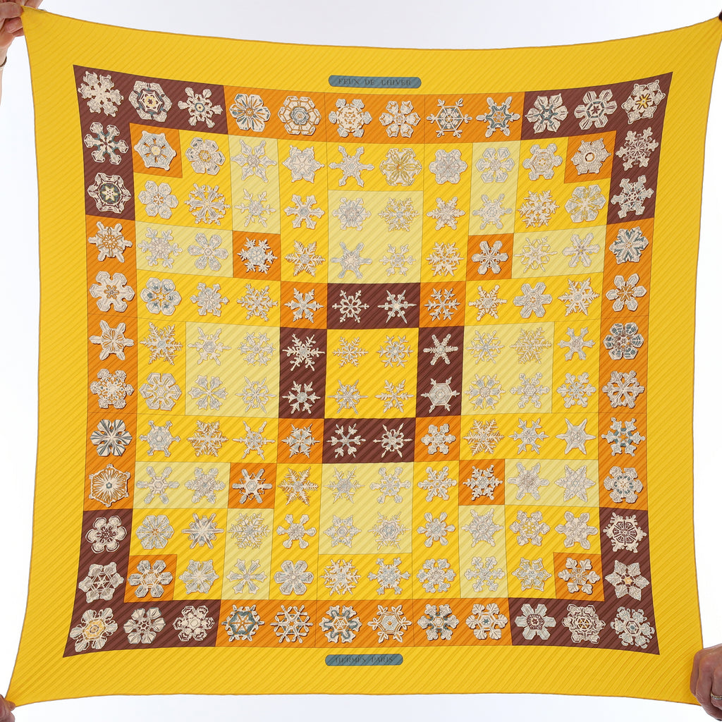 Pristine Boxed Hermès Feux de L'hiver Silk Plisse Scarf