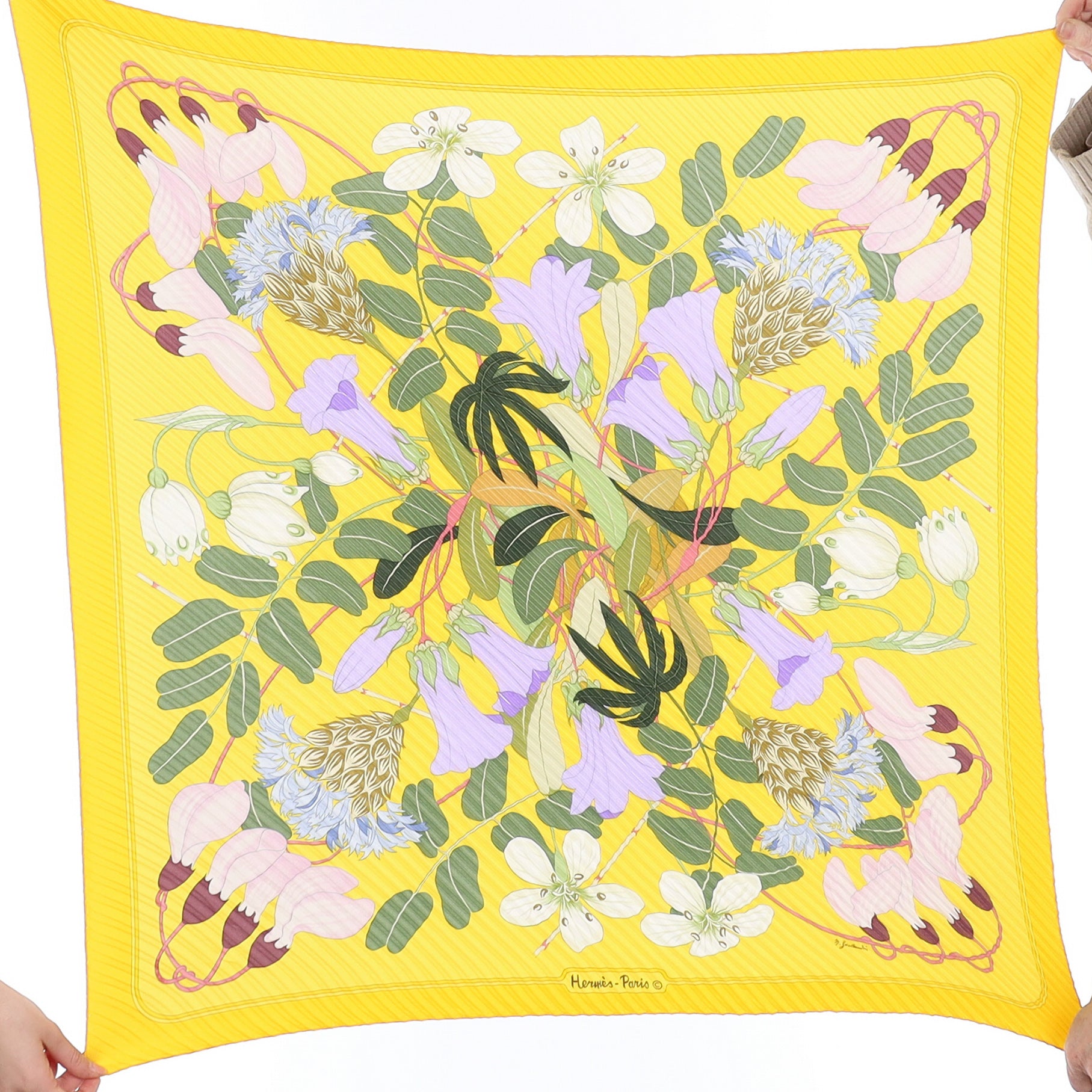 Pristine Boxed Hermès Flora Greaca 1983 Plissè Silk Scarf