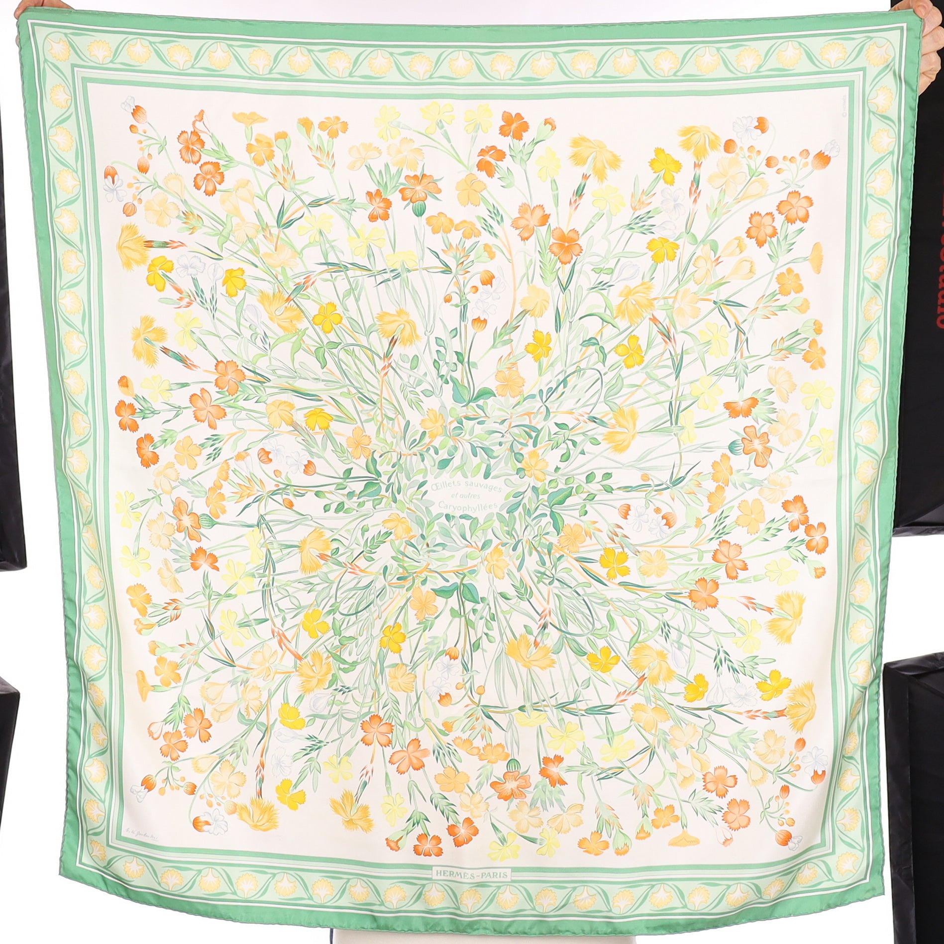 Hermès Oeillets Sauvages et autres Caryophyllées Silk Scarf