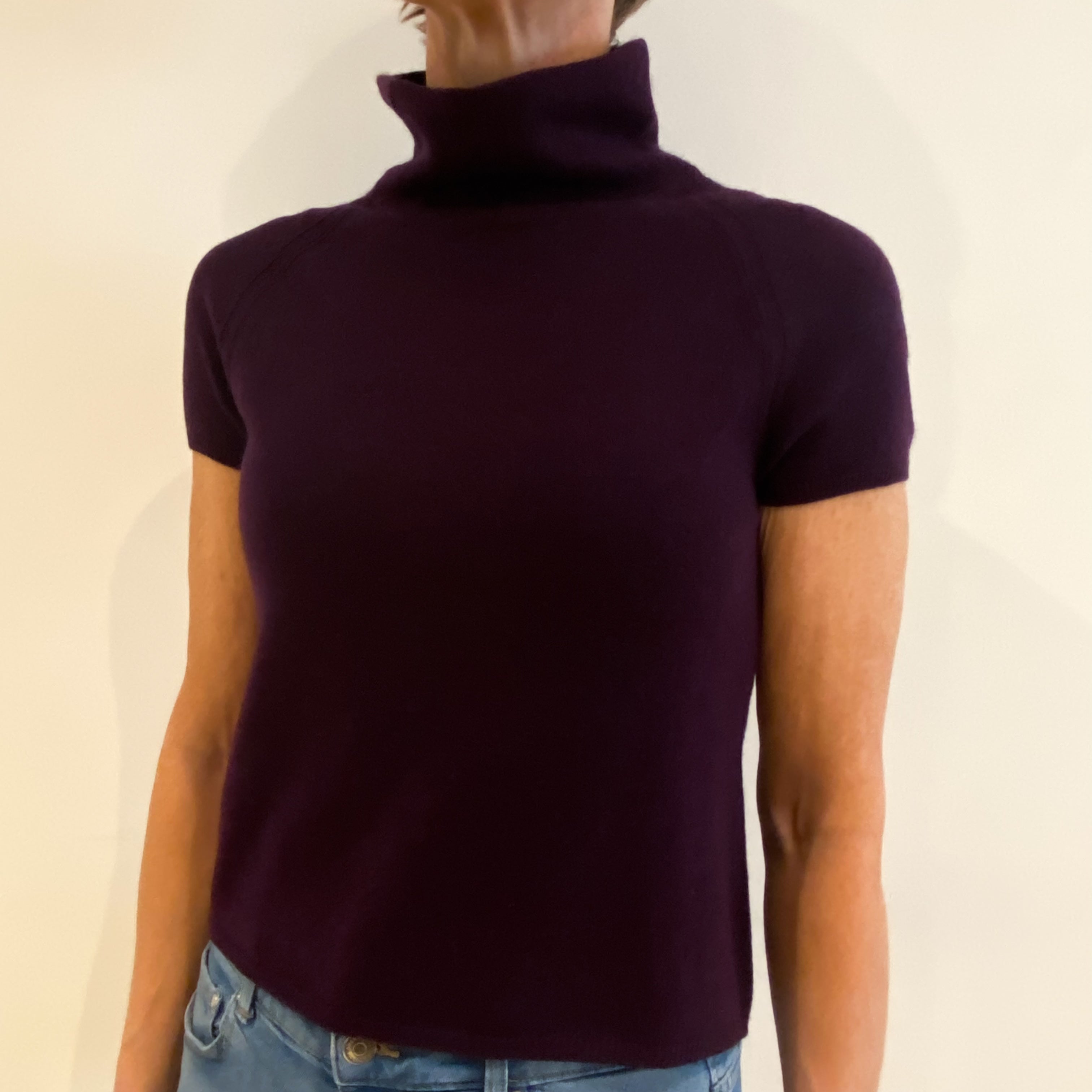 Aubergine Purple Cashmere Short Sleeved Funnel Neck Jumper Small