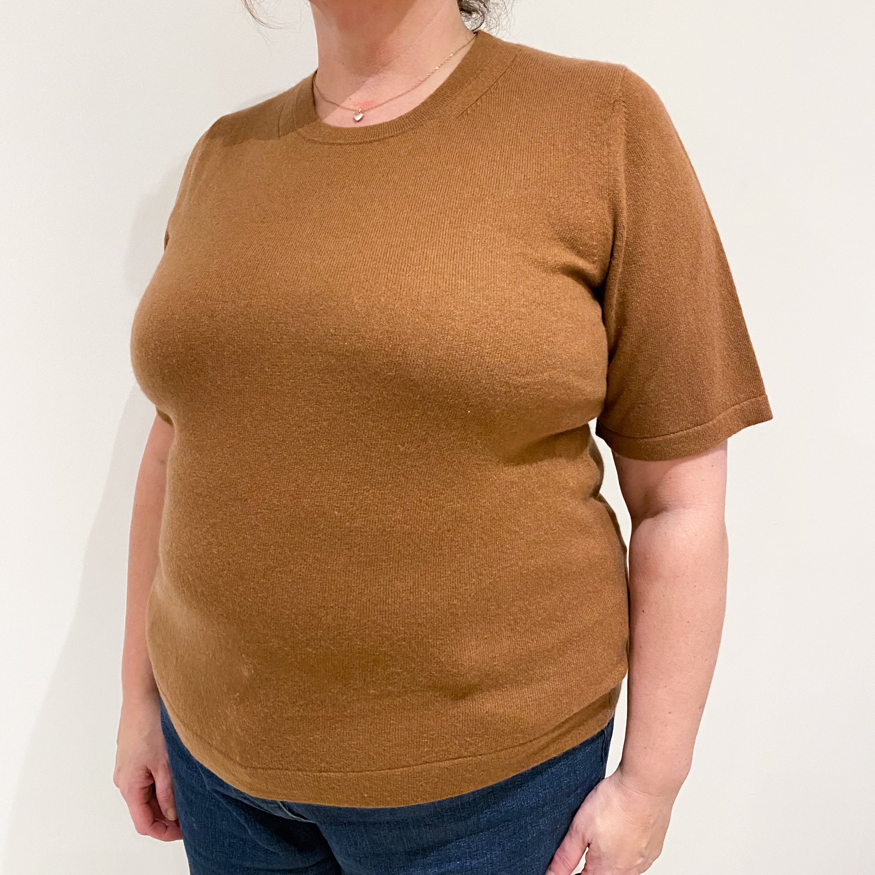 Cinnamon Brown Cashmere Short Sleeve Crew Neck Jumper Extra Large