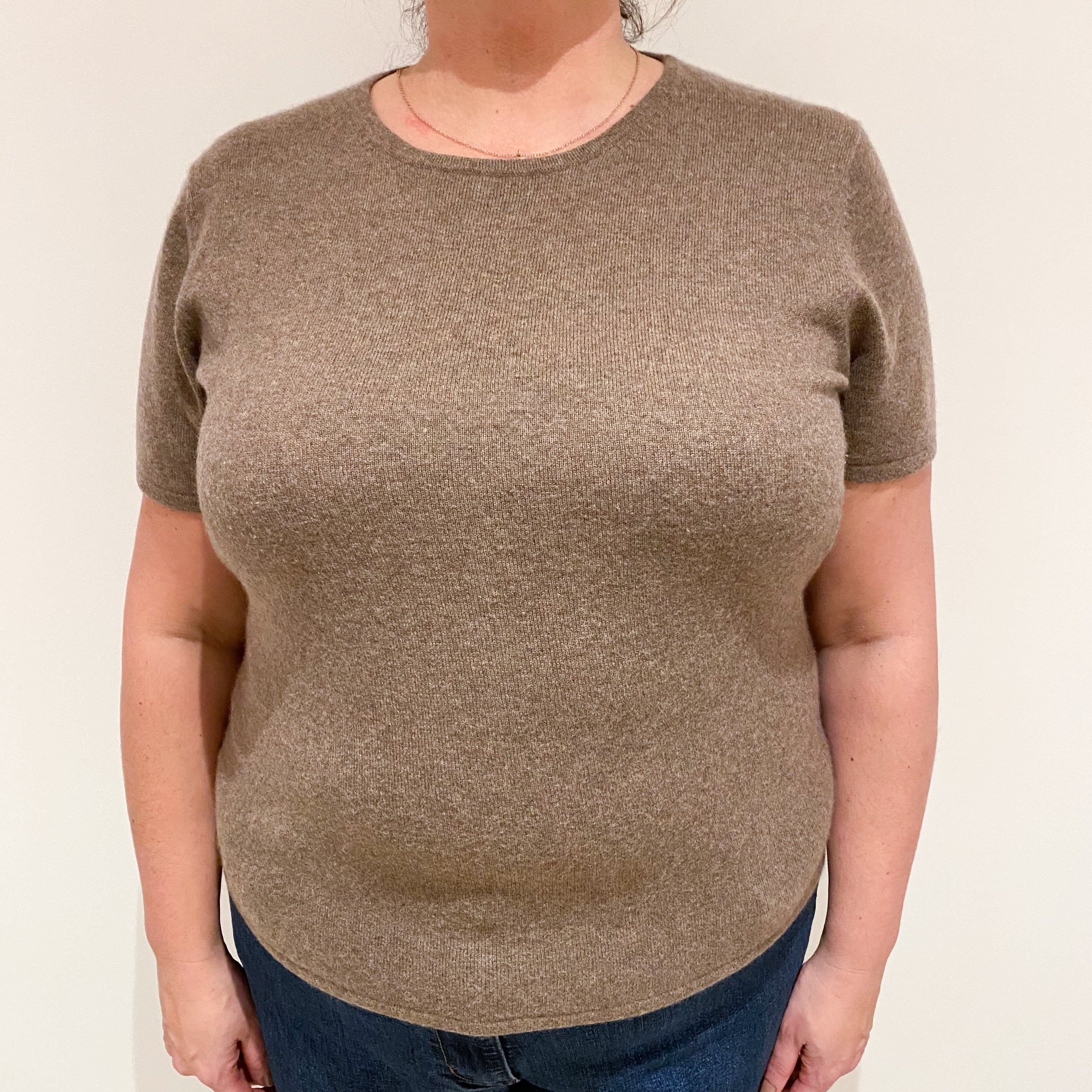 Mocha Brown Short Sleeved Cashmere Crew Neck Jumper Extra Large