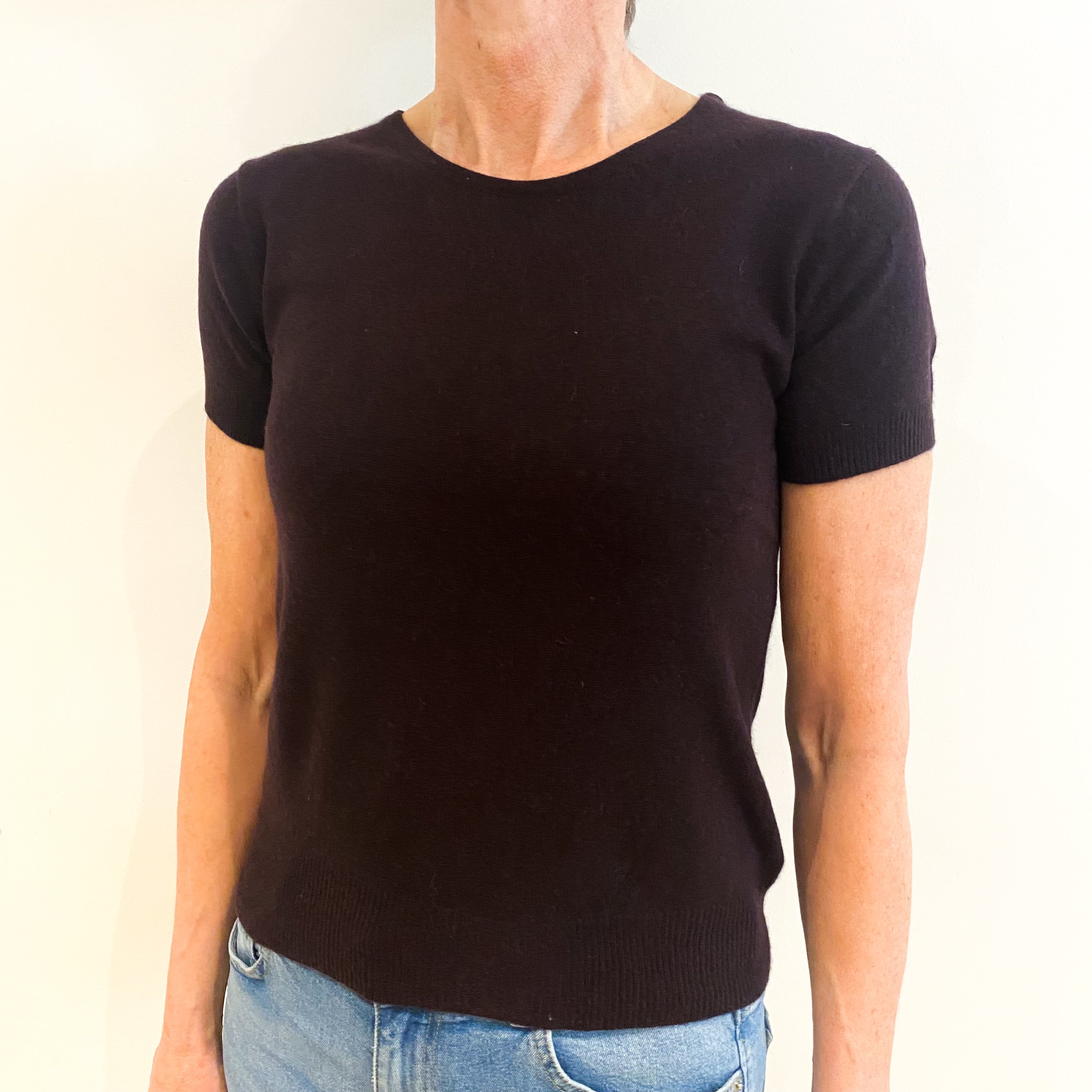 Deep Aubergine Cashmere Crew Neck Short Sleeved Jumper Small