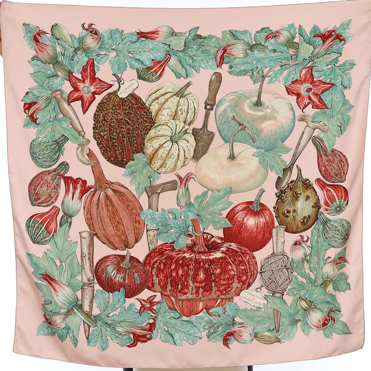 Hermès Citrouilles et Coloquintes Silk Scarf