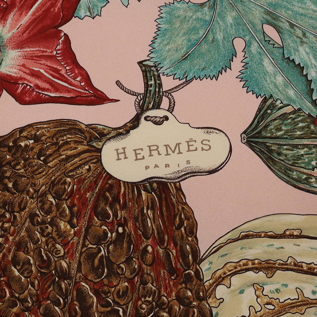 Hermès Citrouilles et Coloquintes Silk Scarf