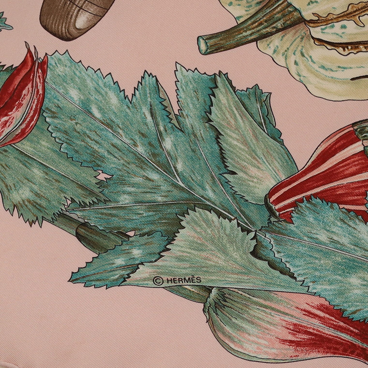 Hermès Citrouilles et Coloquintes Silk Scarf