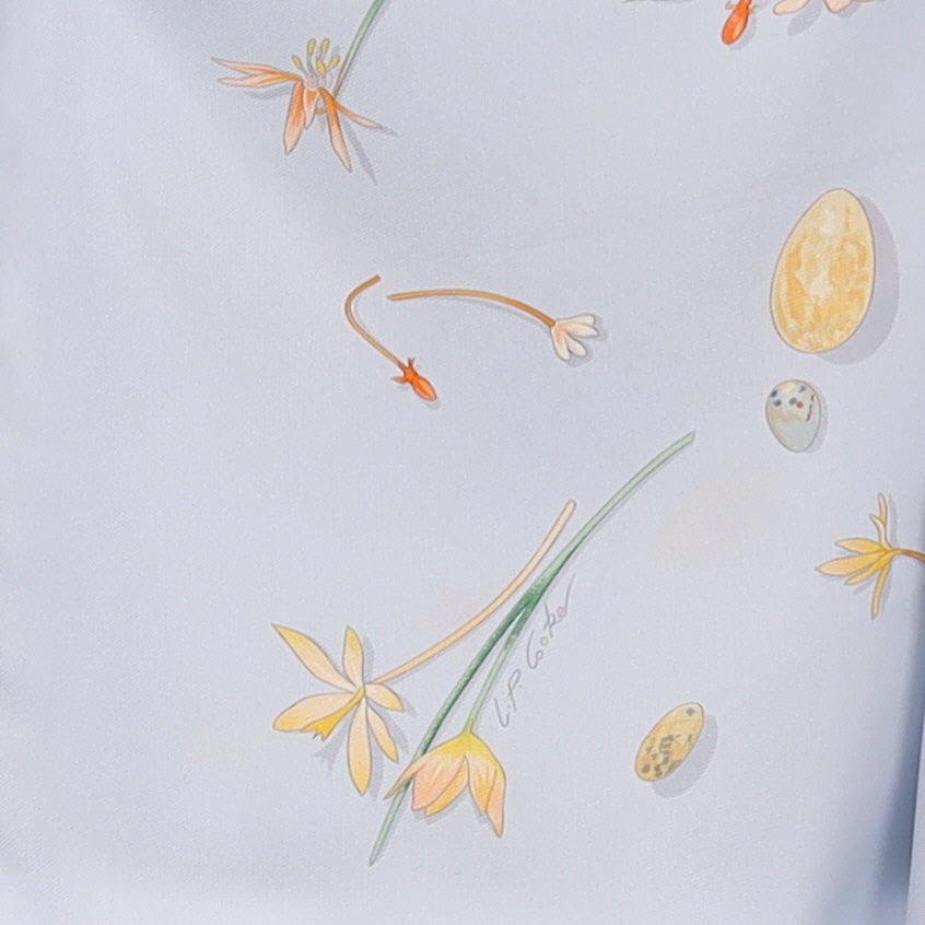 Hermès Fleurs et Plumes Silk Scarf