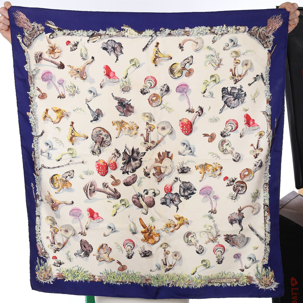 Hermès Les Champignons II Silk Scarf