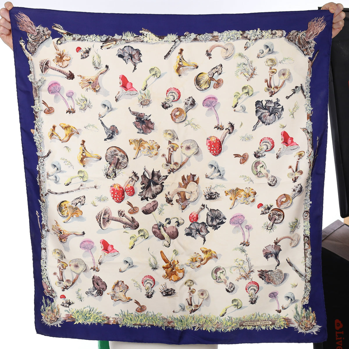 Hermès Les Champignons II Silk Scarf