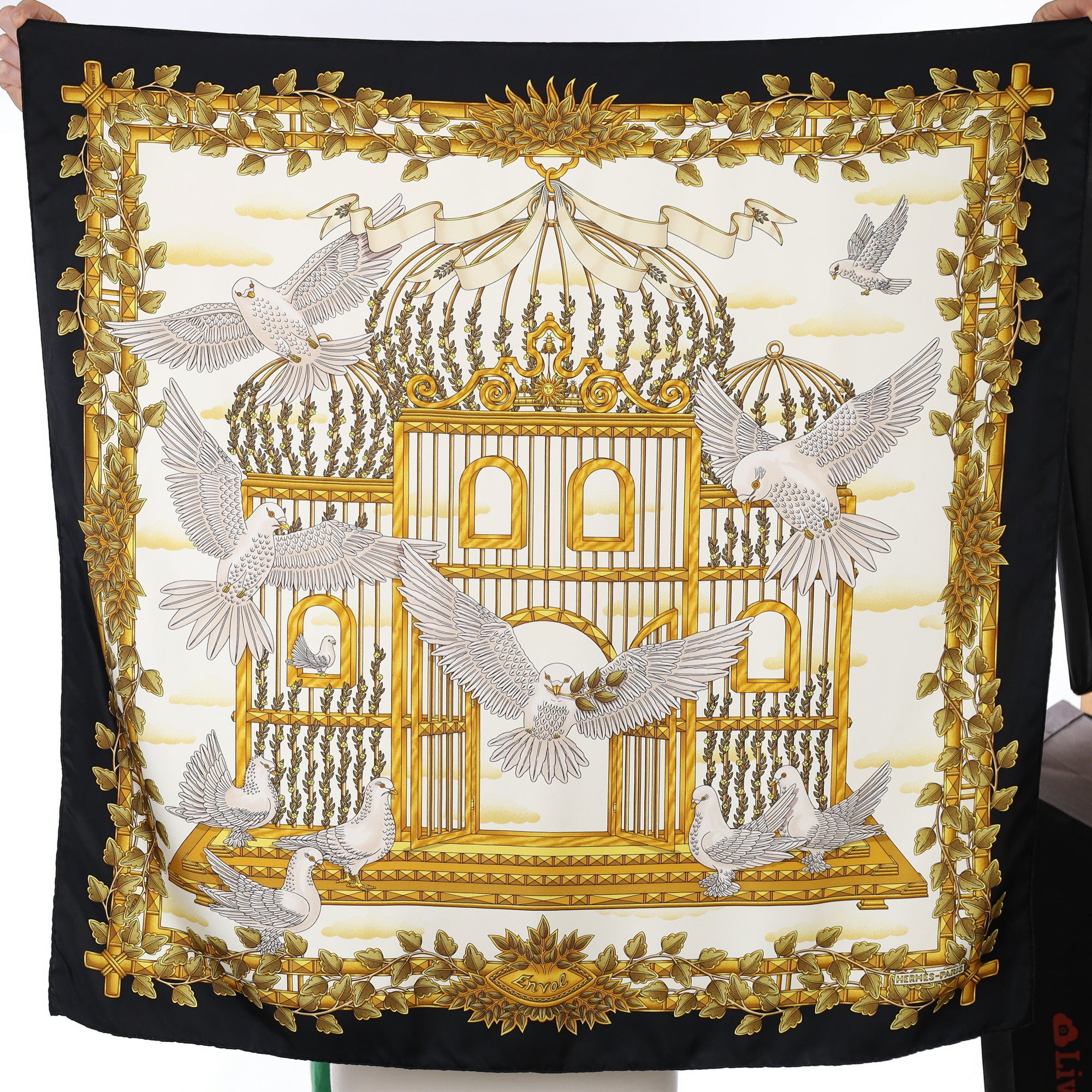 Hermès Envol Silk Scarf Quite Rare