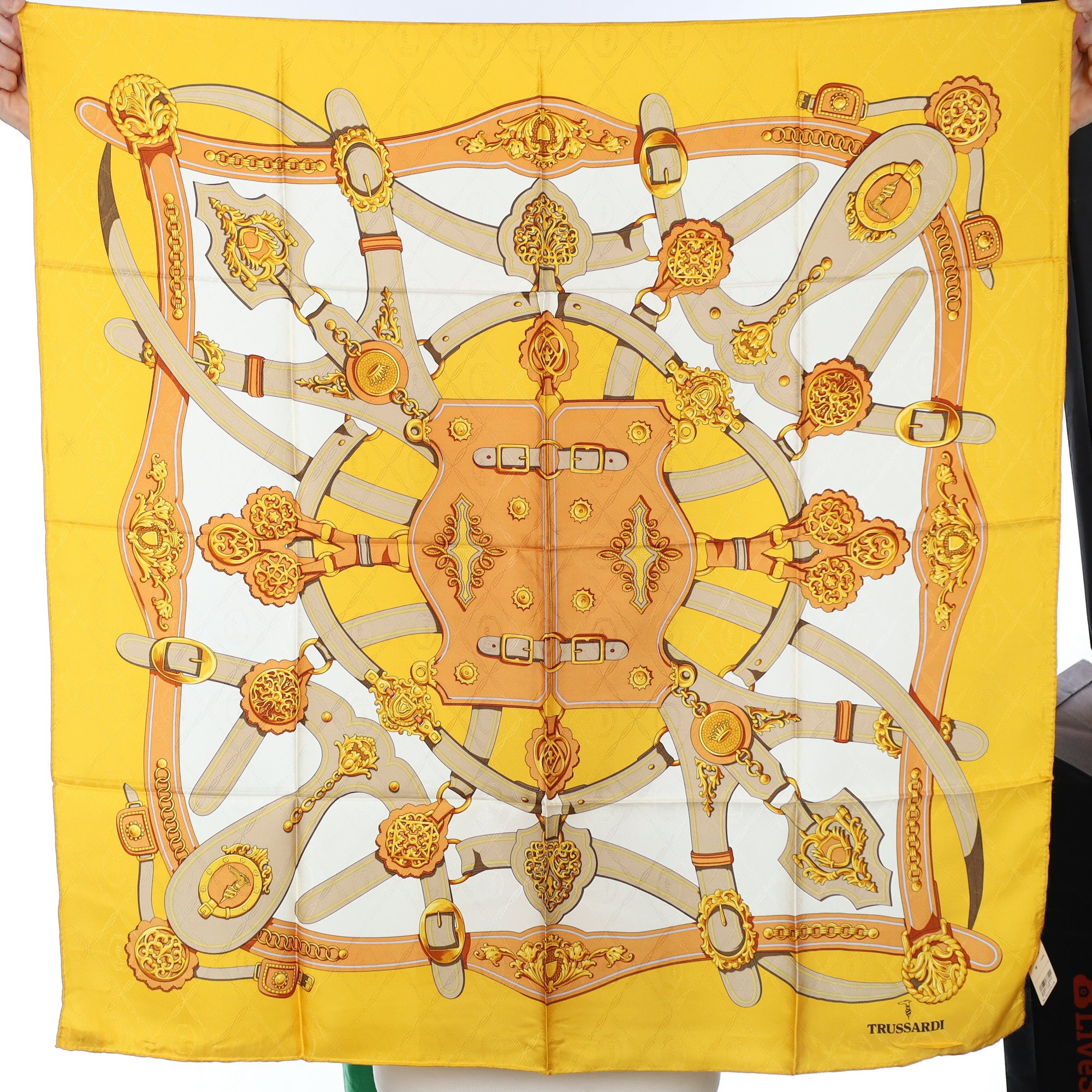 Brand New Trussardi Silk Scarf