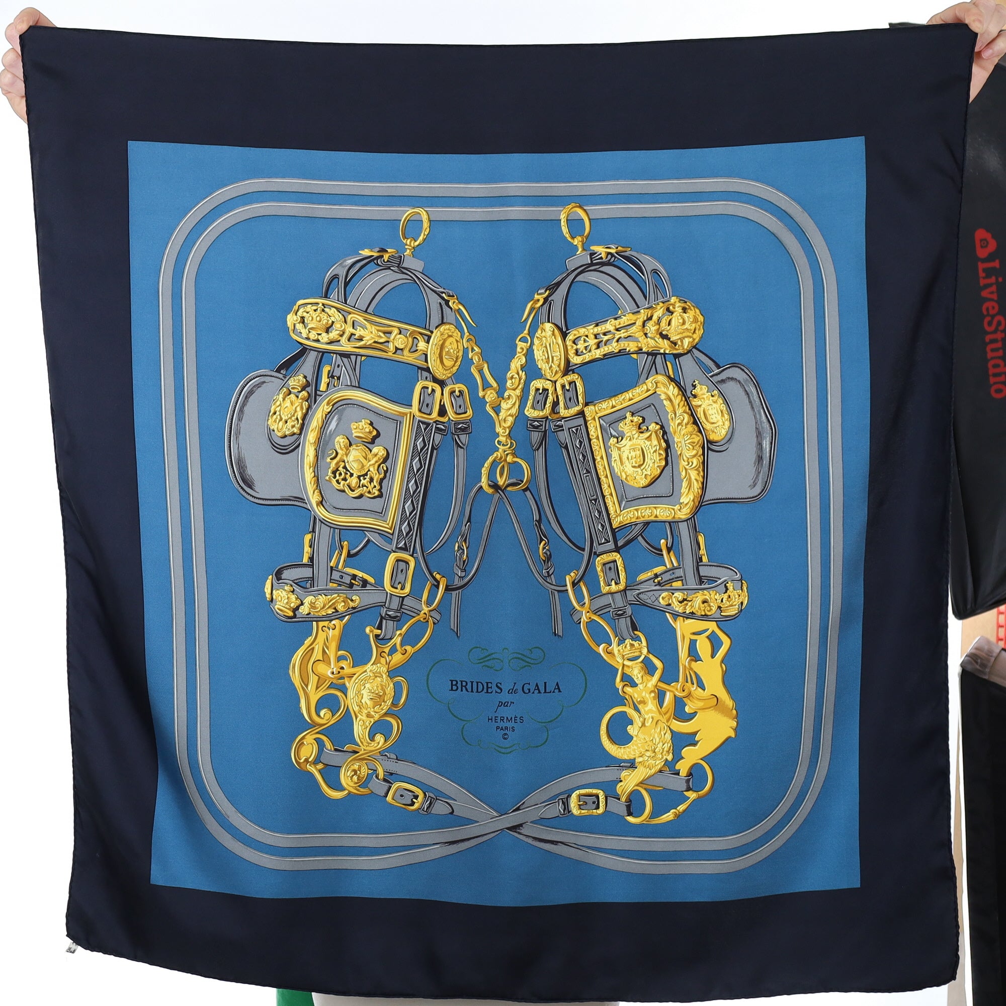 Hermès Brides de Gala Silk Scarf