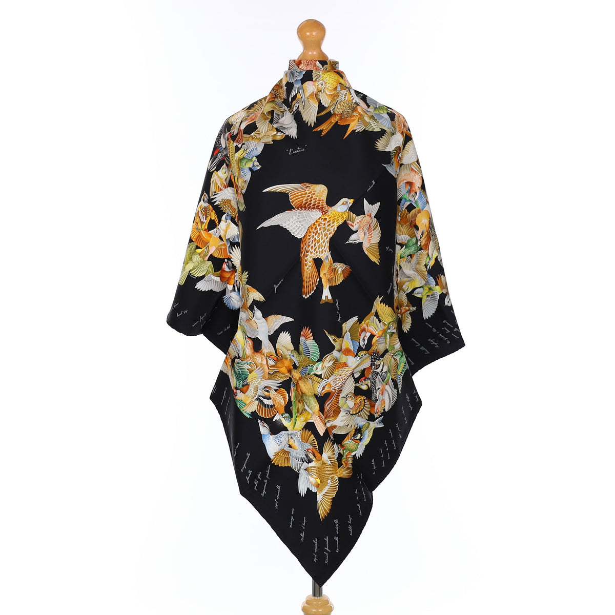 Brand New Boxed Hermès L'intrus Silk Scarf