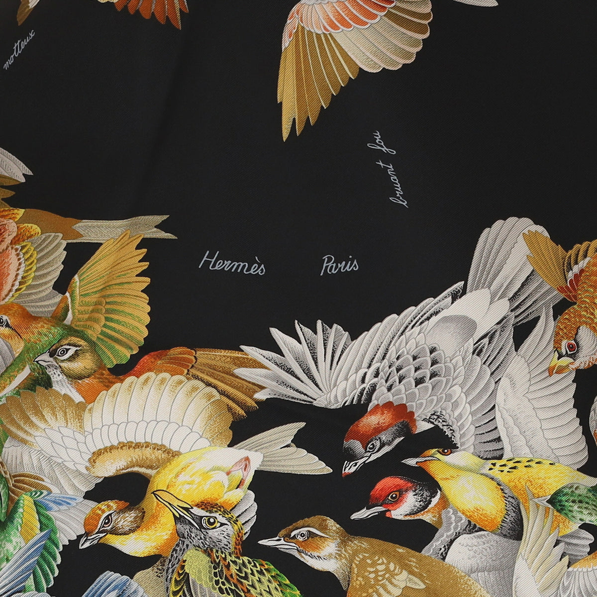 Brand New Boxed Hermès L'intrus Silk Scarf