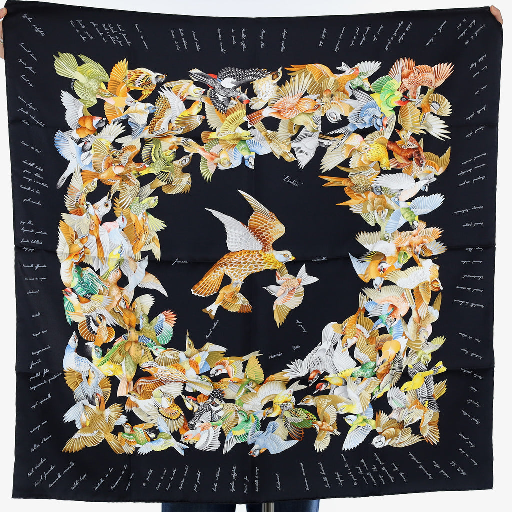 Brand New Boxed Hermès L'intrus Silk Scarf