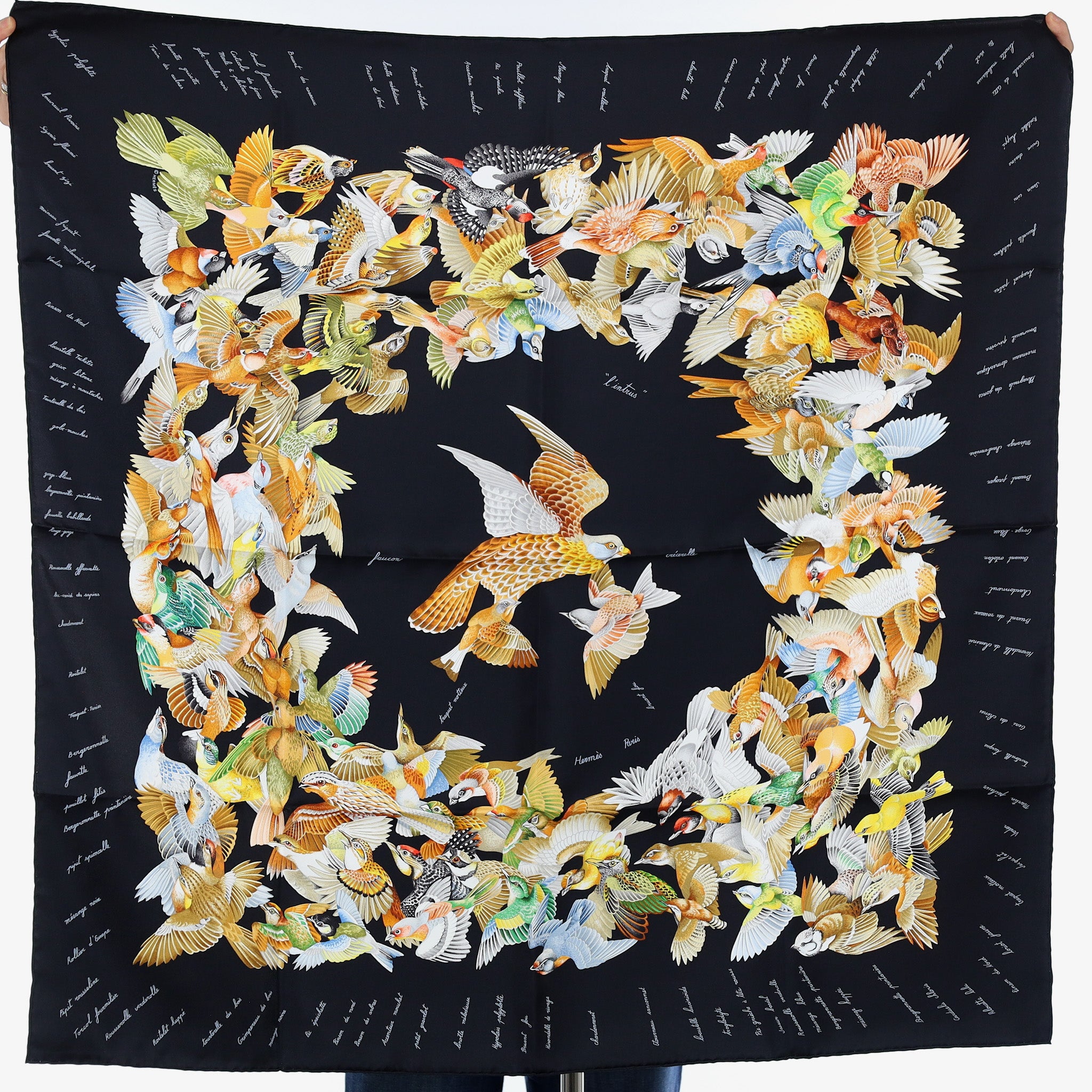 Brand New Boxed Hermès L'intrus Silk Scarf