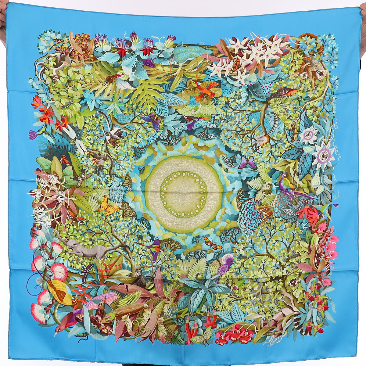 Brand New Boxed Hermès Au Coeur de la Vie Silk Scarf Quite Rare